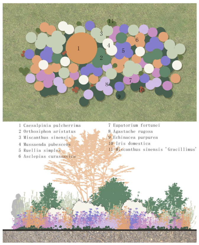 Ecologies 07 00095 g003