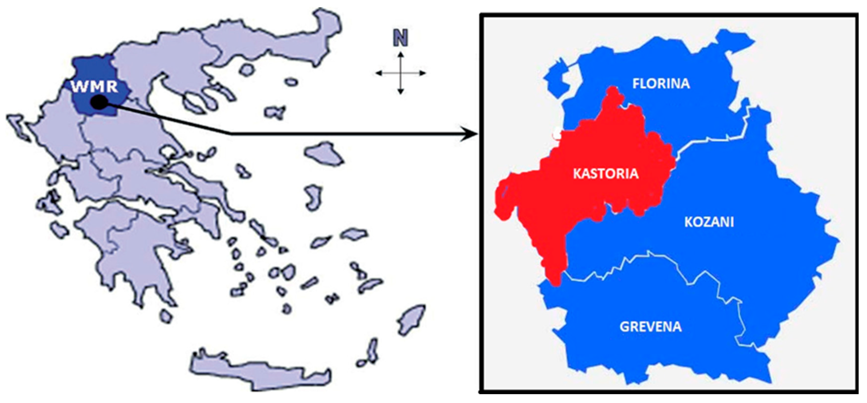 Economies 08 00052 g001