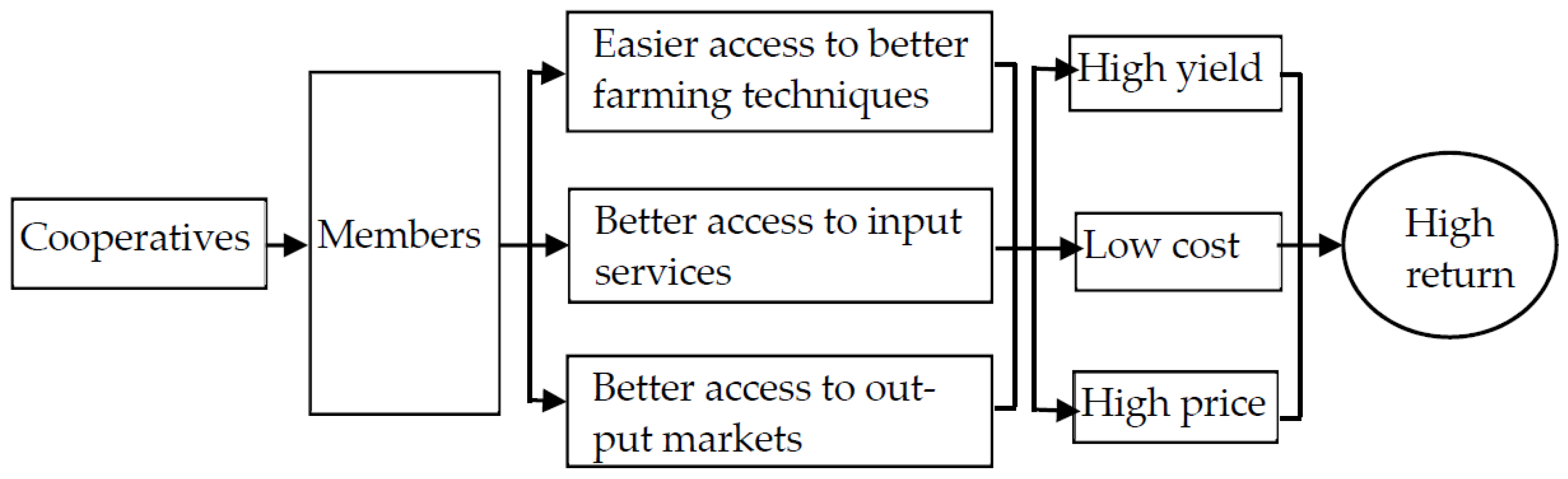 Economies 10 00306 g001 Economies 10 00306 g001