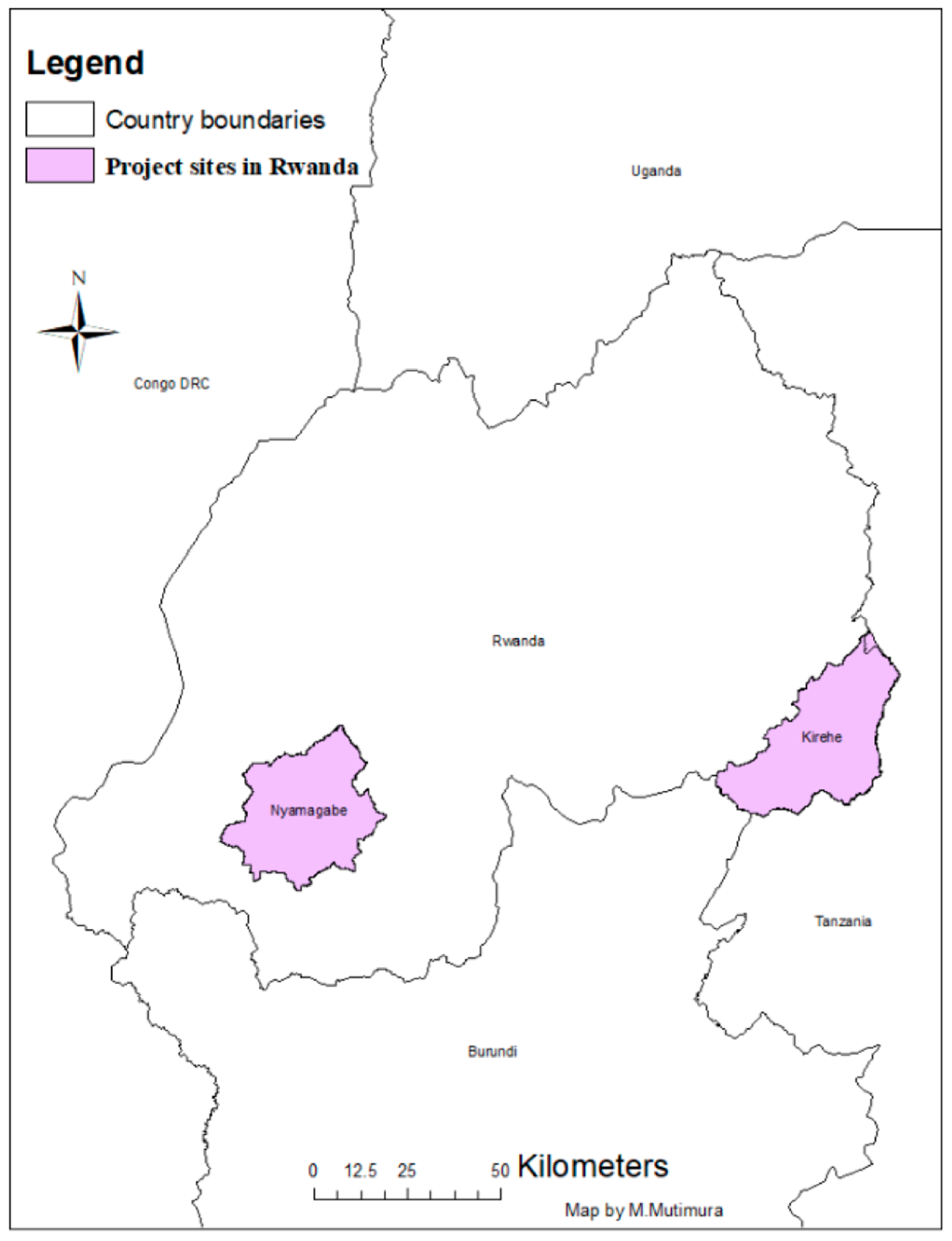 Economies 12 00177 g001 Economies 12 00177 g001