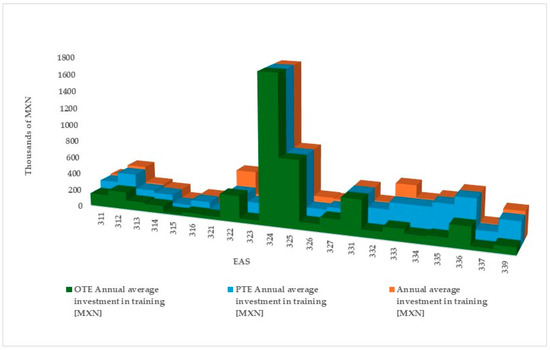 Efficiency Analysis of Human Capital Investments at Micro and Large Sized Enterprises in the Manufacturing Sector Using Data Envelopment Analysis