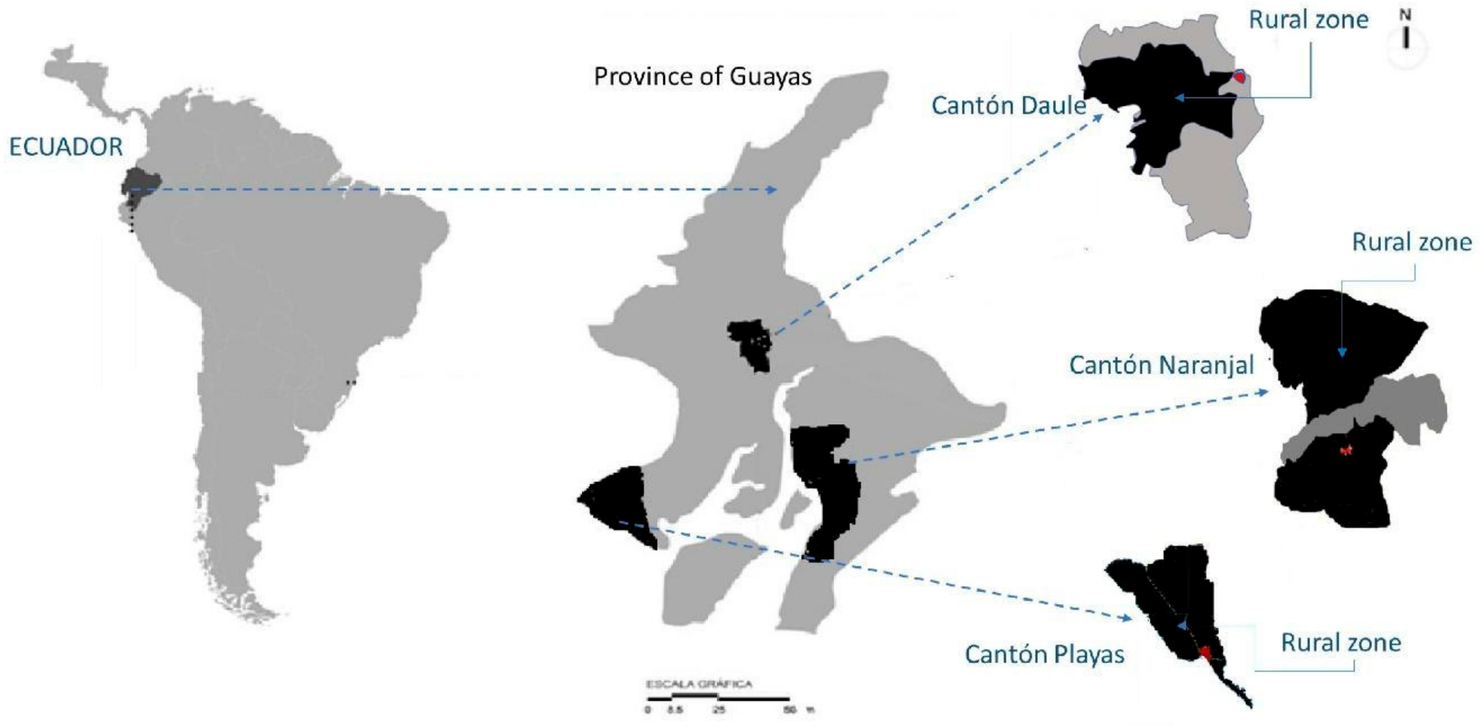 Economies 12 00225 g001