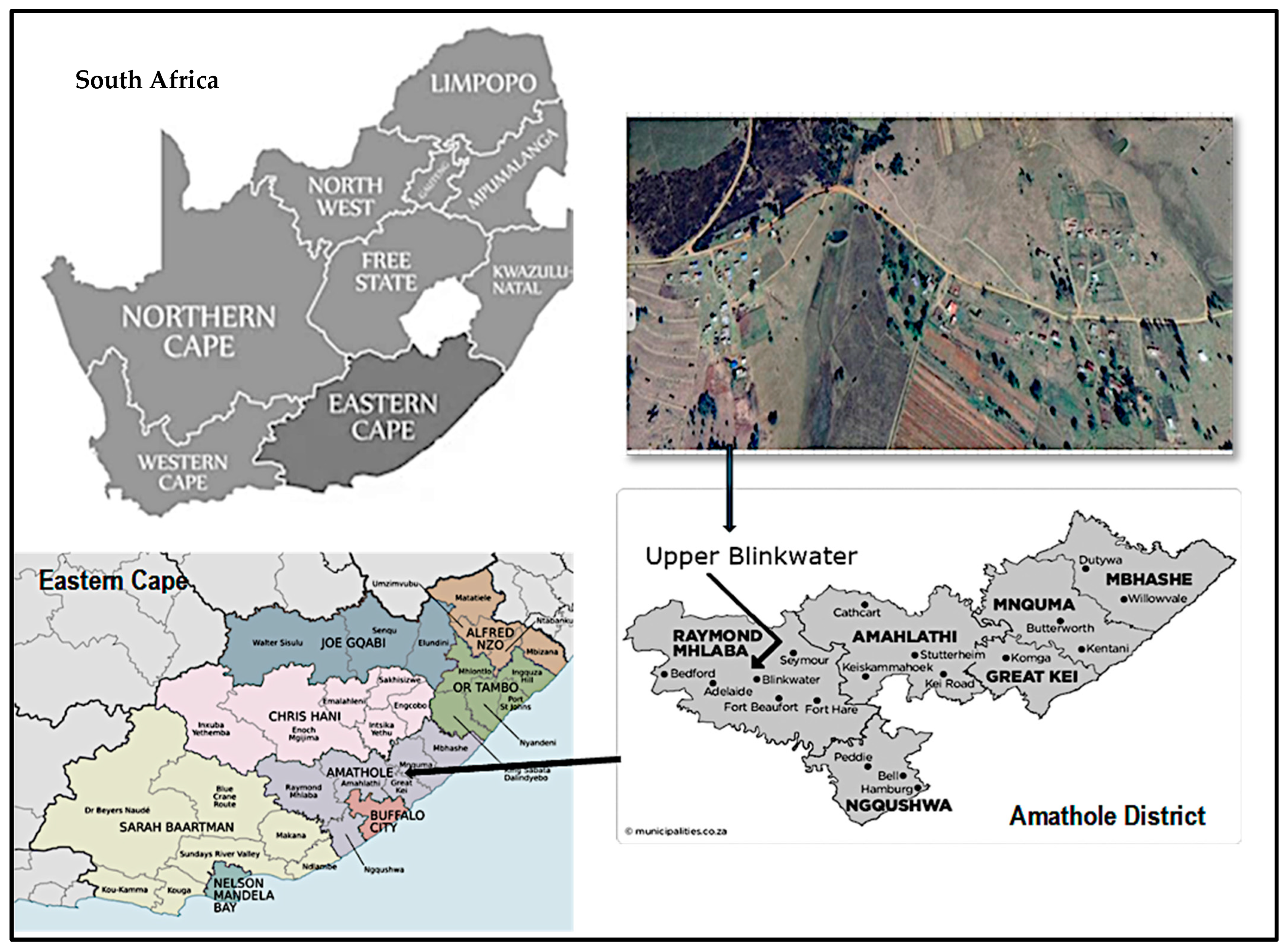 Economies 13 00128 g001