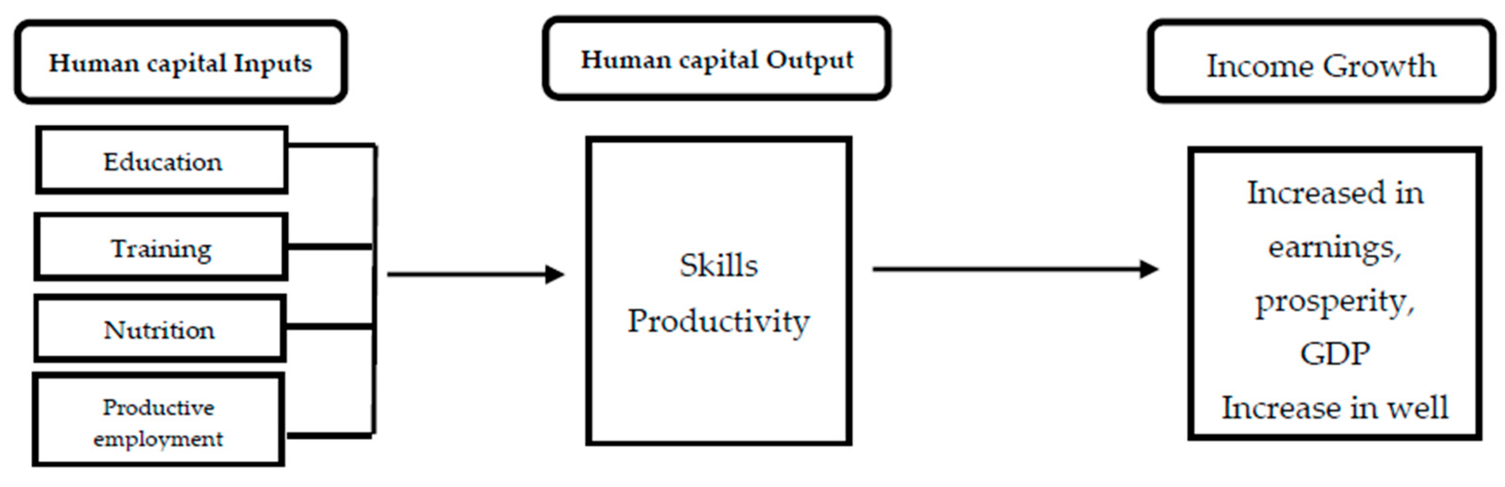 Economies 13 00202 g001