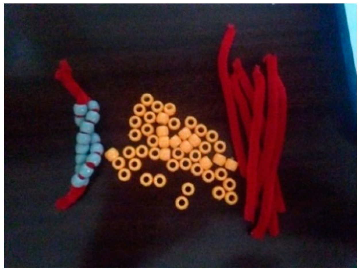 Education 08 00119 g003