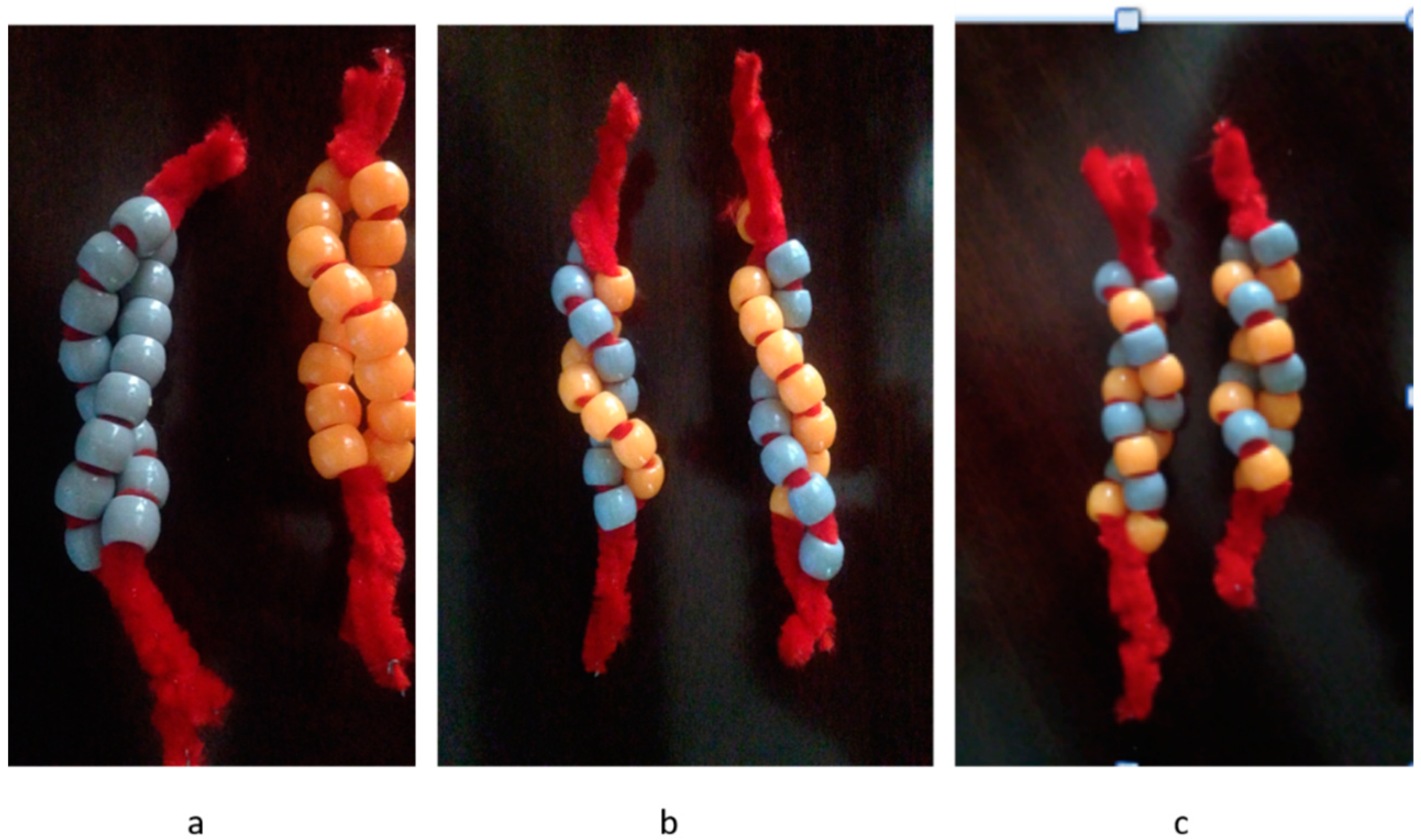 Education 08 00119 g004