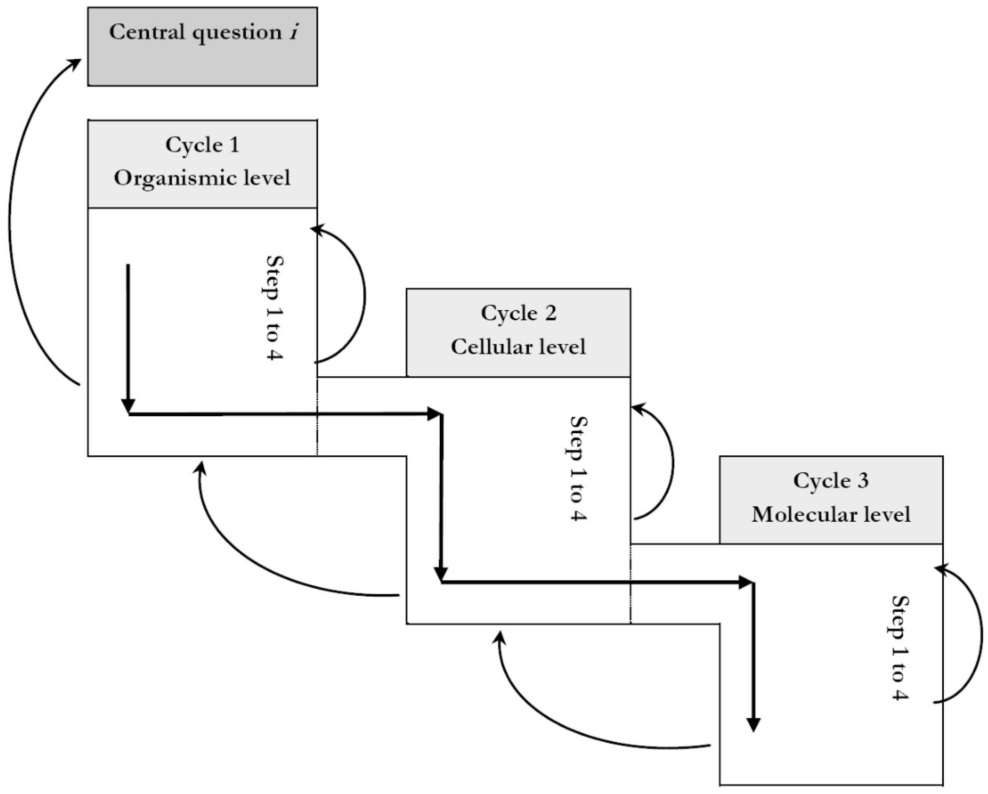 Education 08 00129 g002 Education 08 00129 g002