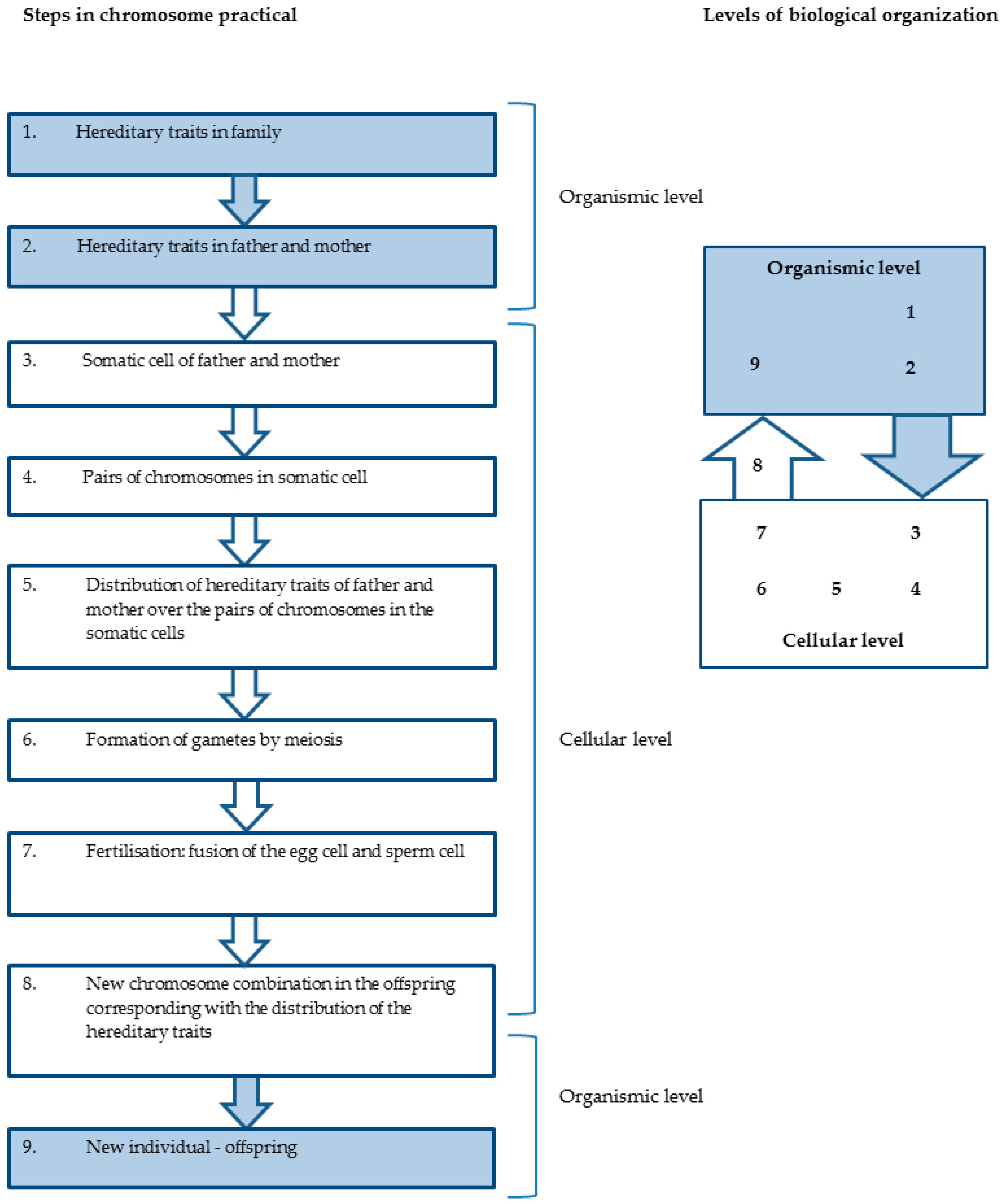 Education 08 00129 g003 Education 08 00129 g003