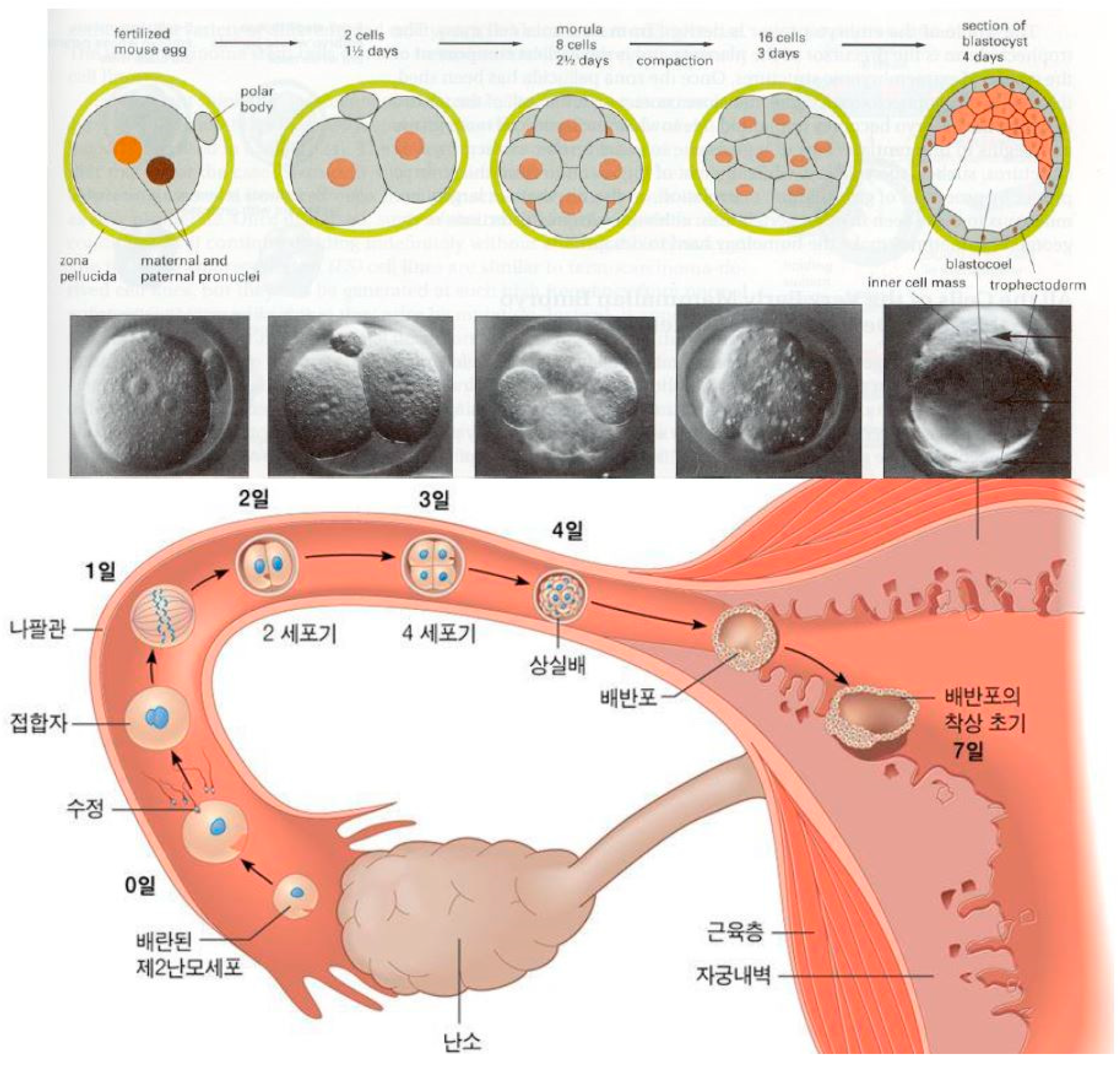 Education 08 00201 g004