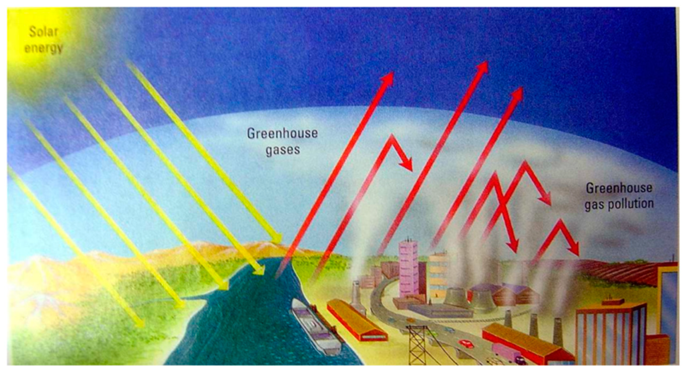 Education Sciences Free Full Text Visualizing The Greenhouse Effect Restructuring Mental Models Of Climate Change Through A Guided Online Simulation Html