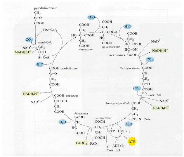 Education 09 00072 i002 Education 09 00072 i002