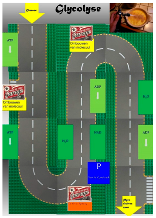 Education 09 00072 i003 Education 09 00072 i003