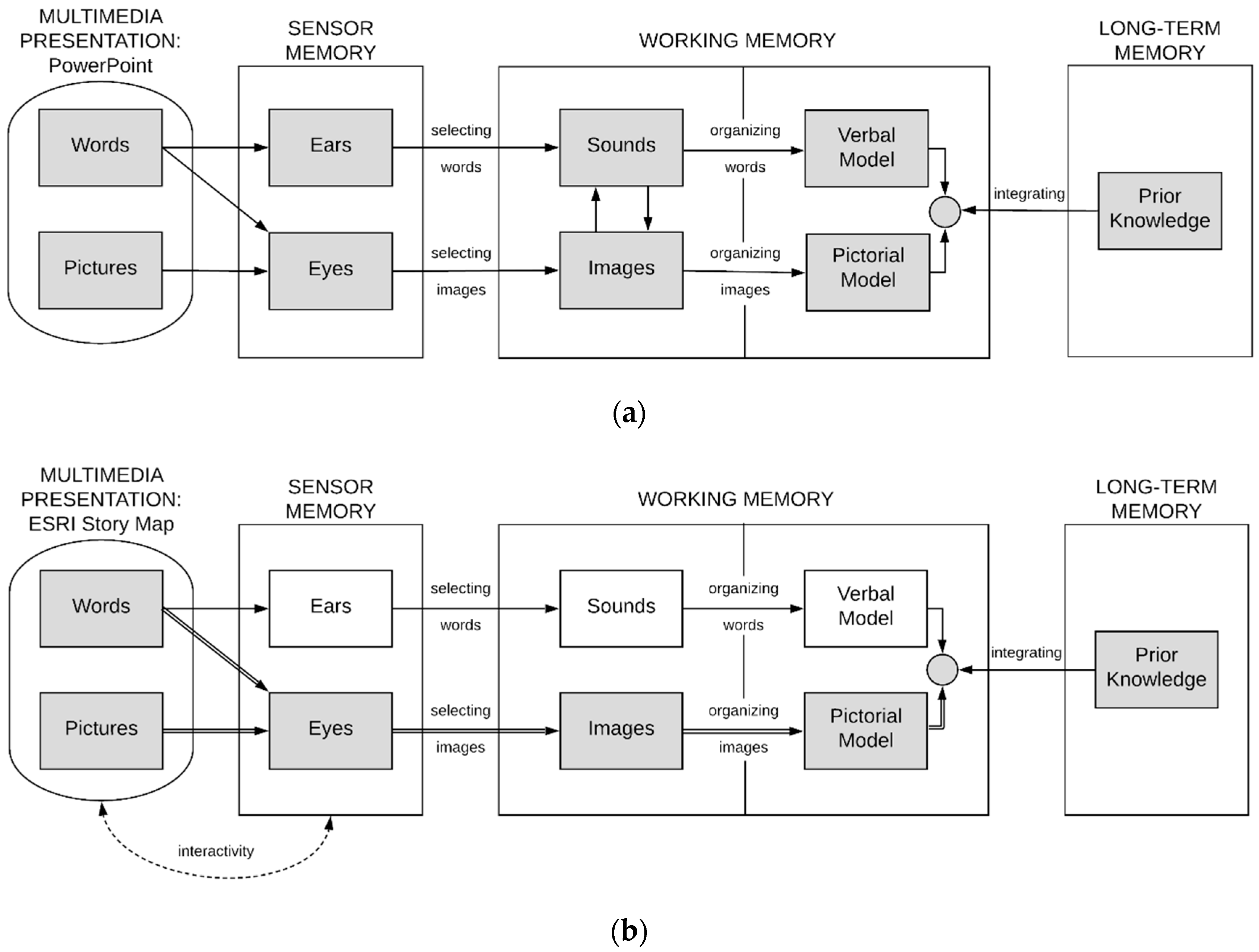 Education Sciences Free Full Text Digital Story Map Learning For Stem Disciplines Html Education Sciences Free Full Text Digital Story Map Learning For Stem Disciplines Html