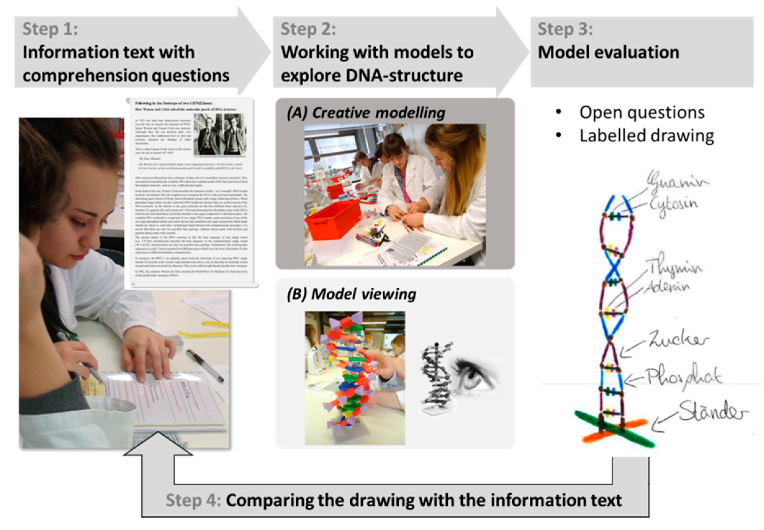 Education 09 00115 g001 Education 09 00115 g001