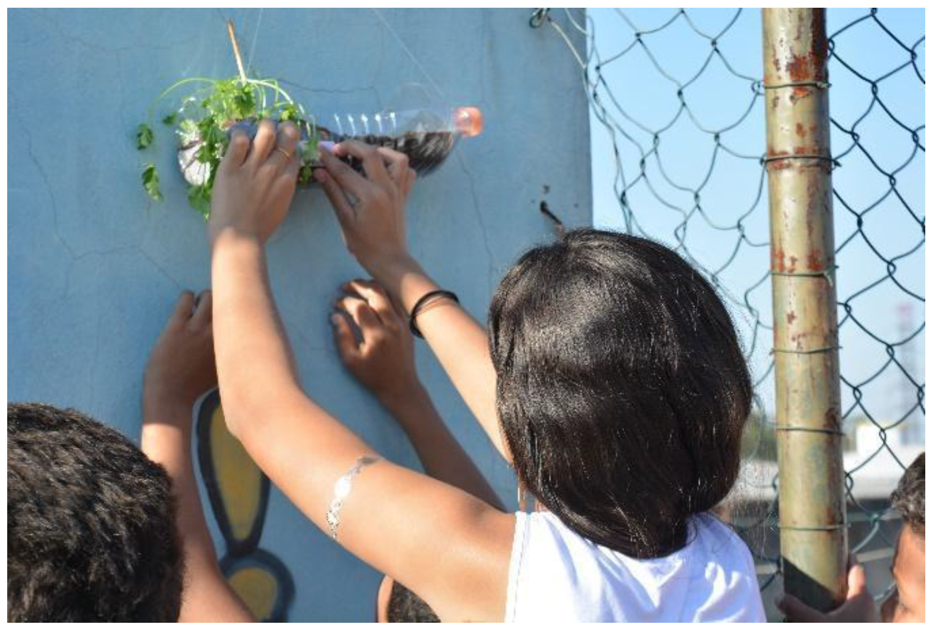 Education 09 00161 g005