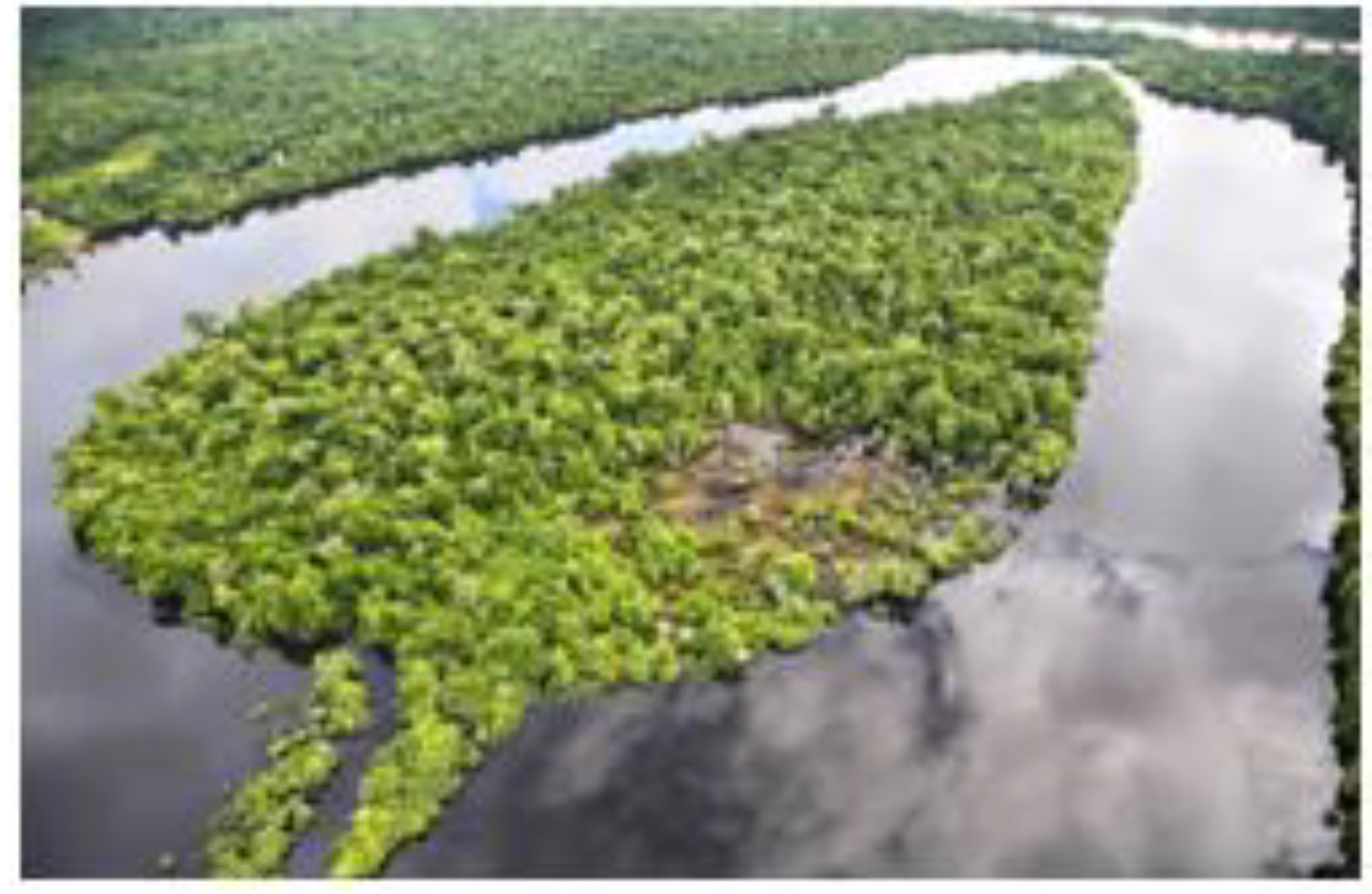 Education 09 00161 g012