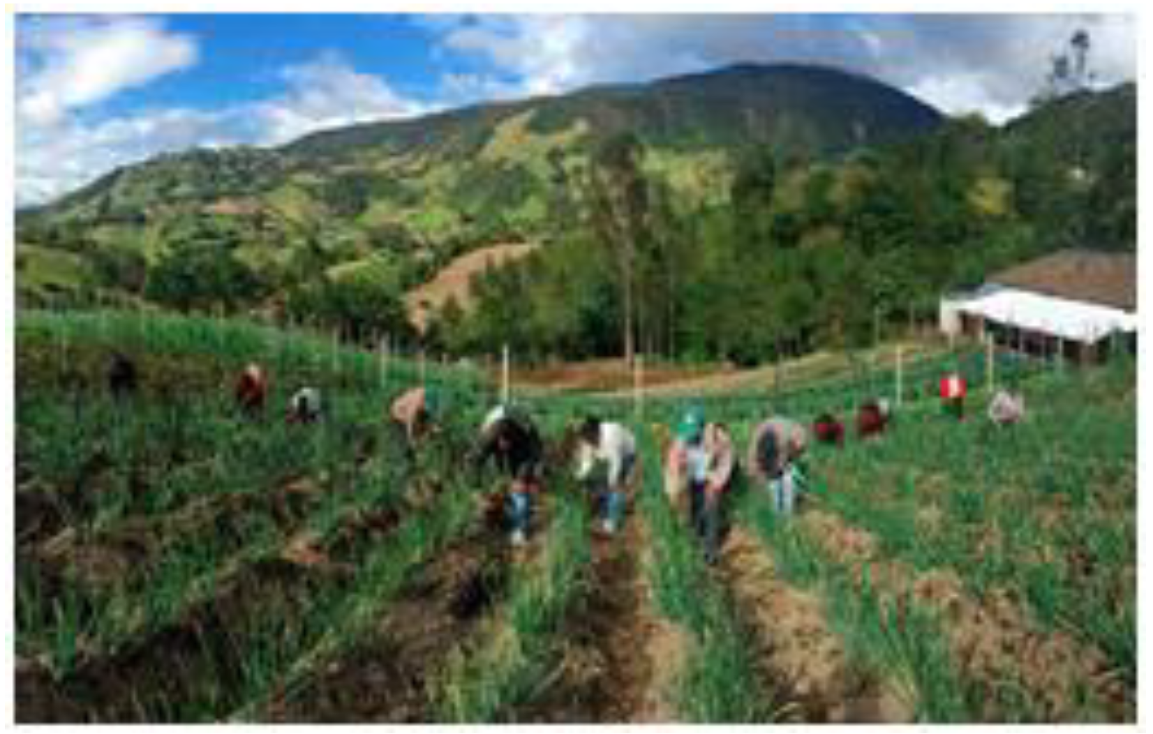 Education 09 00161 g013