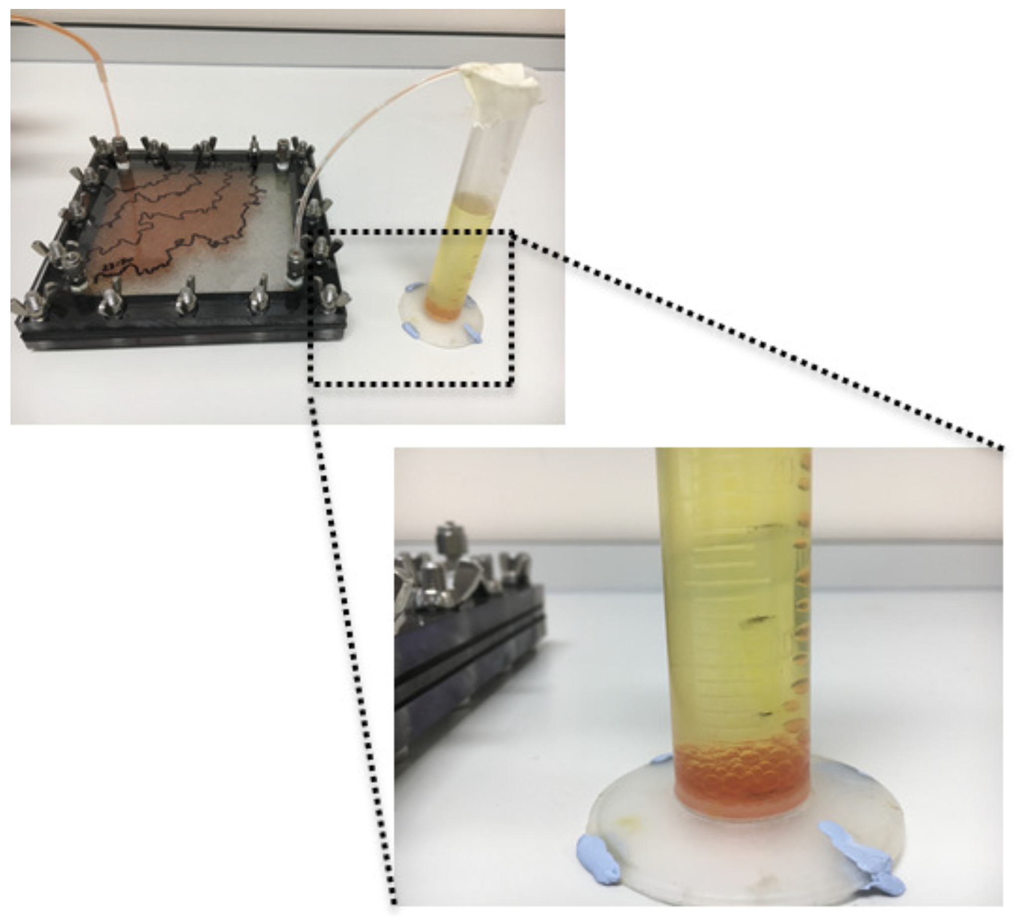 Education 09 00186 g002 550