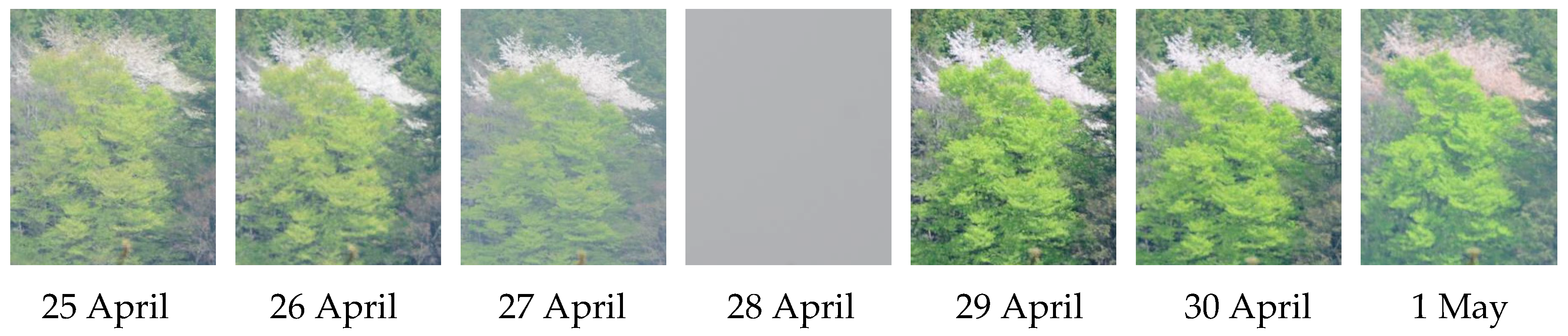 Education 09 00190 g002 Education 09 00190 g002