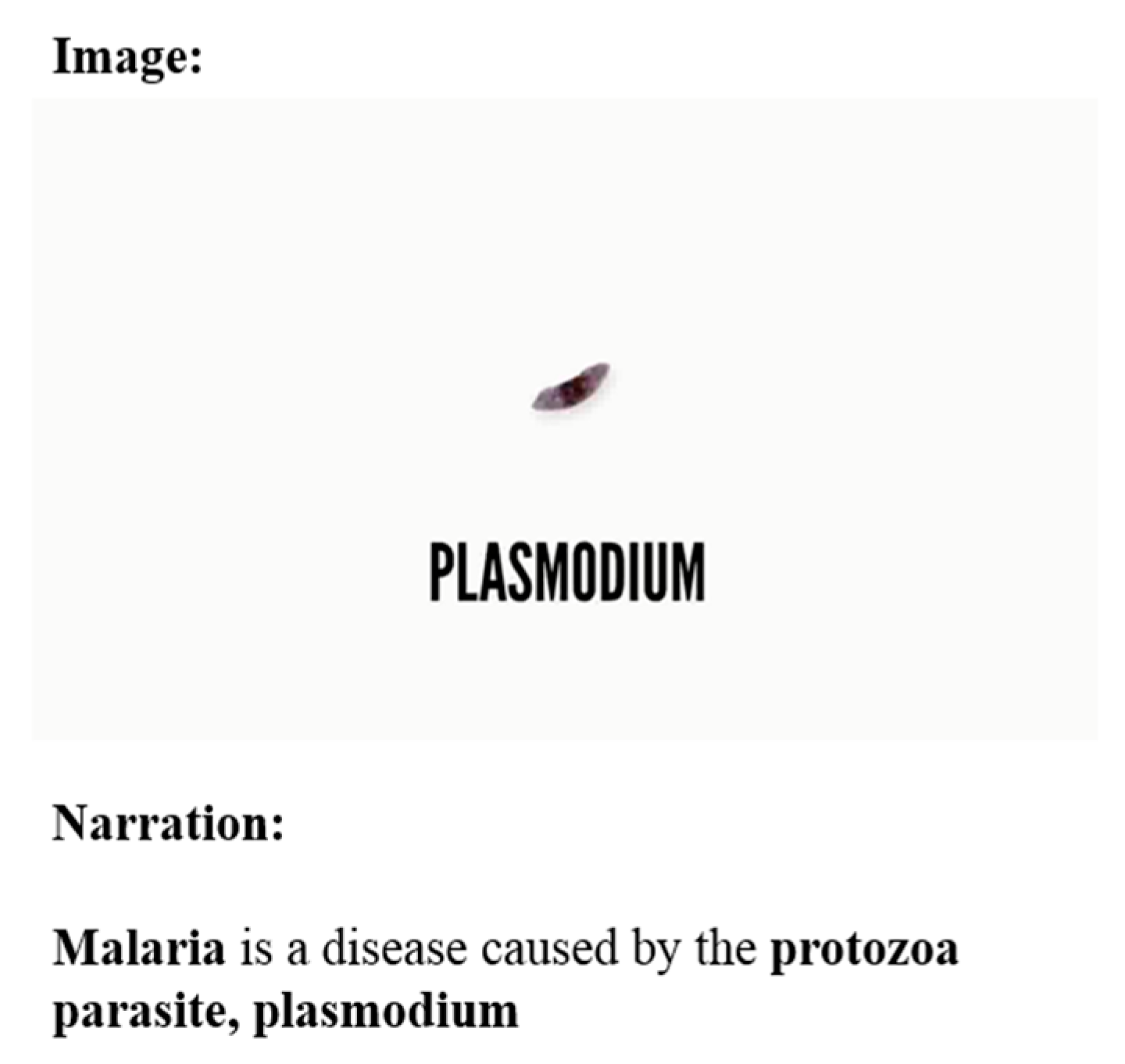 Education 10 00018 g004