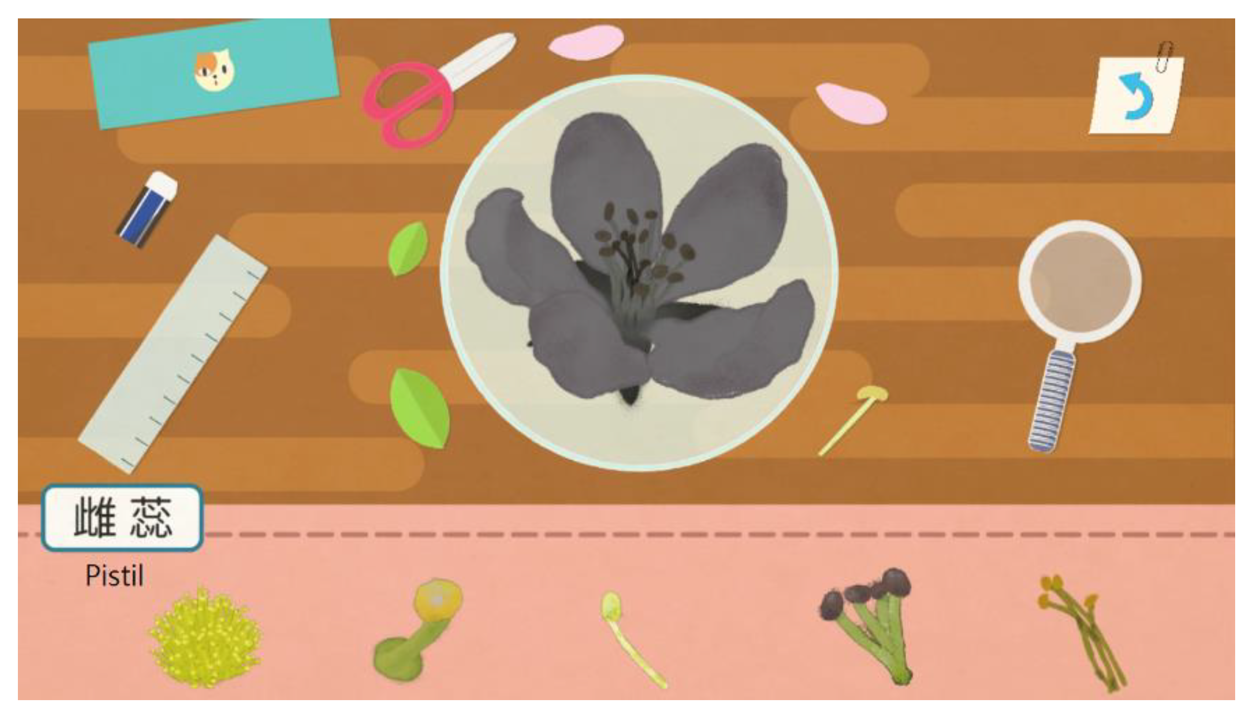 Education 10 00096 g009