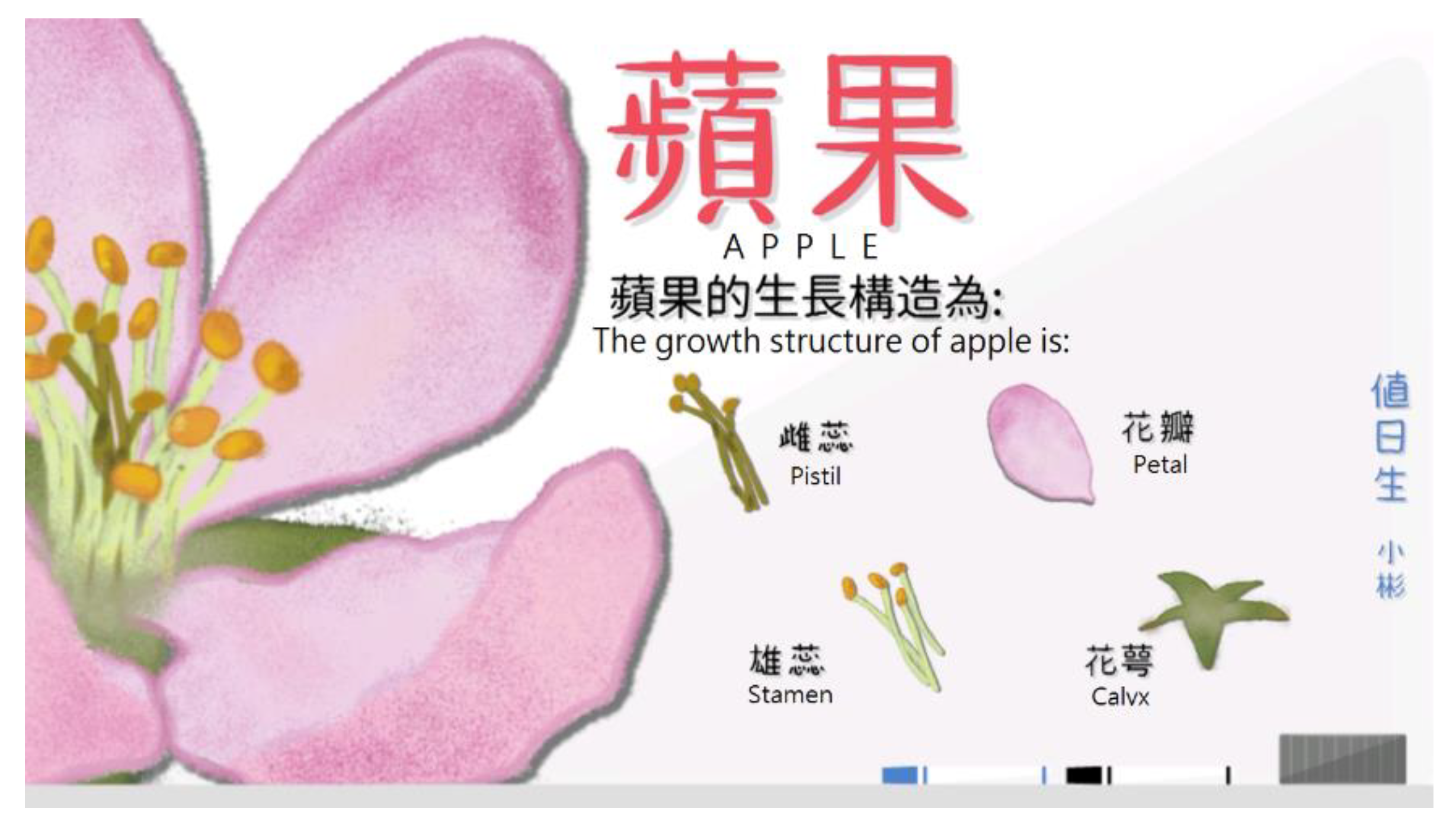 Education 10 00096 g010