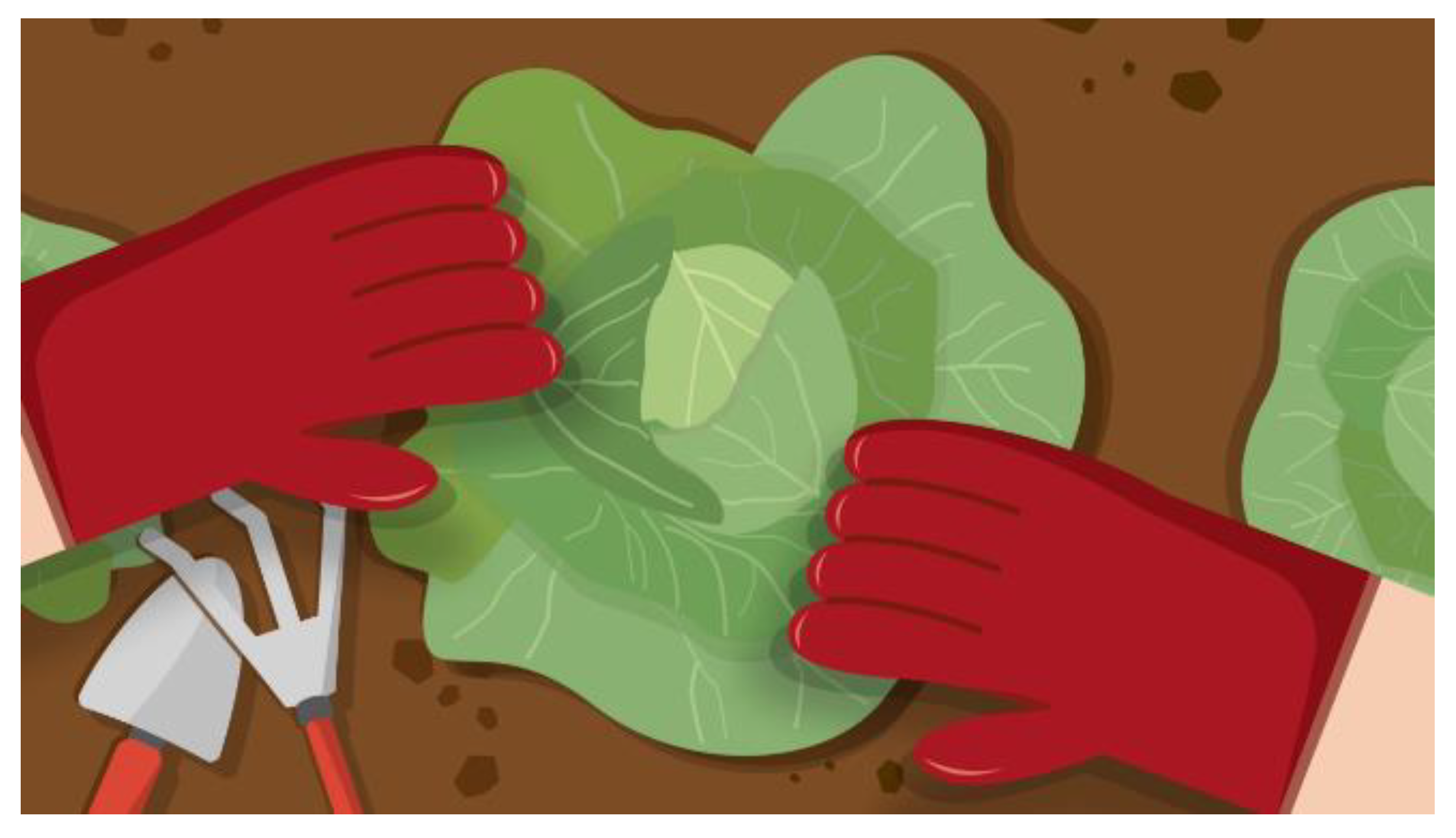 Education 10 00096 g013