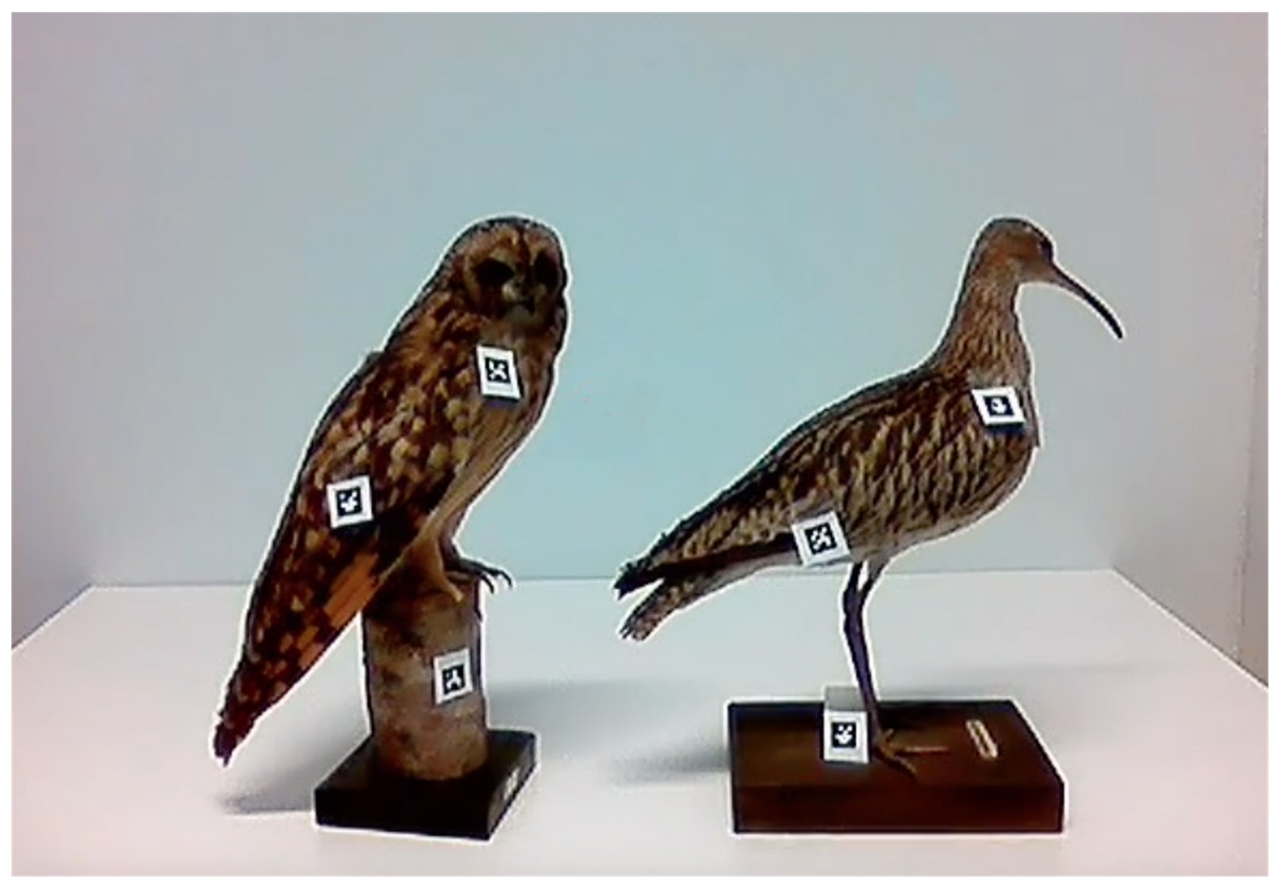 Education 10 00141 g001 Education 10 00141 g001