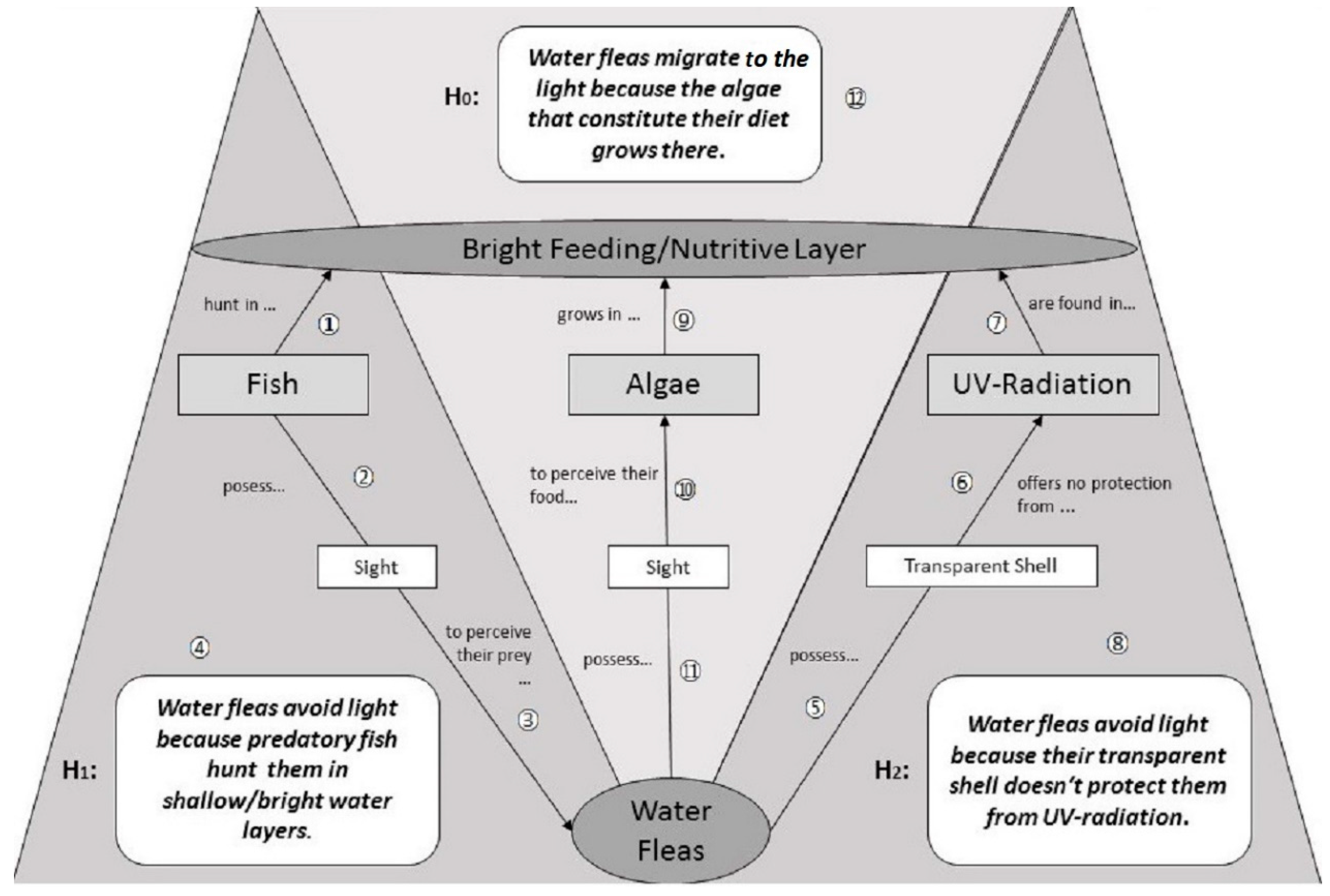 Education 10 00277 g001