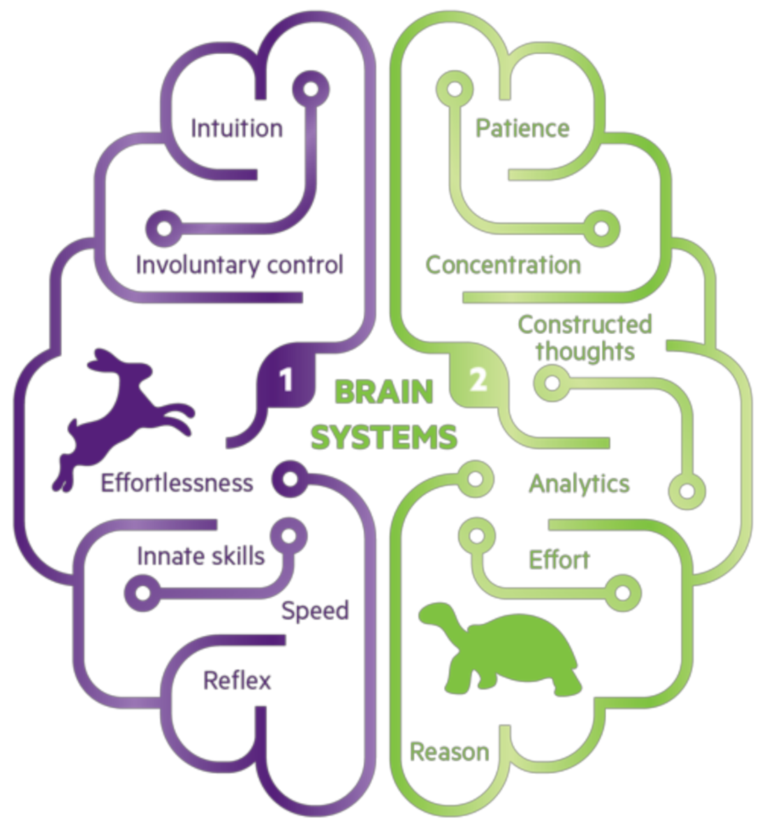 Education 11 00034 g0a1 Education 11 00034 g0a1