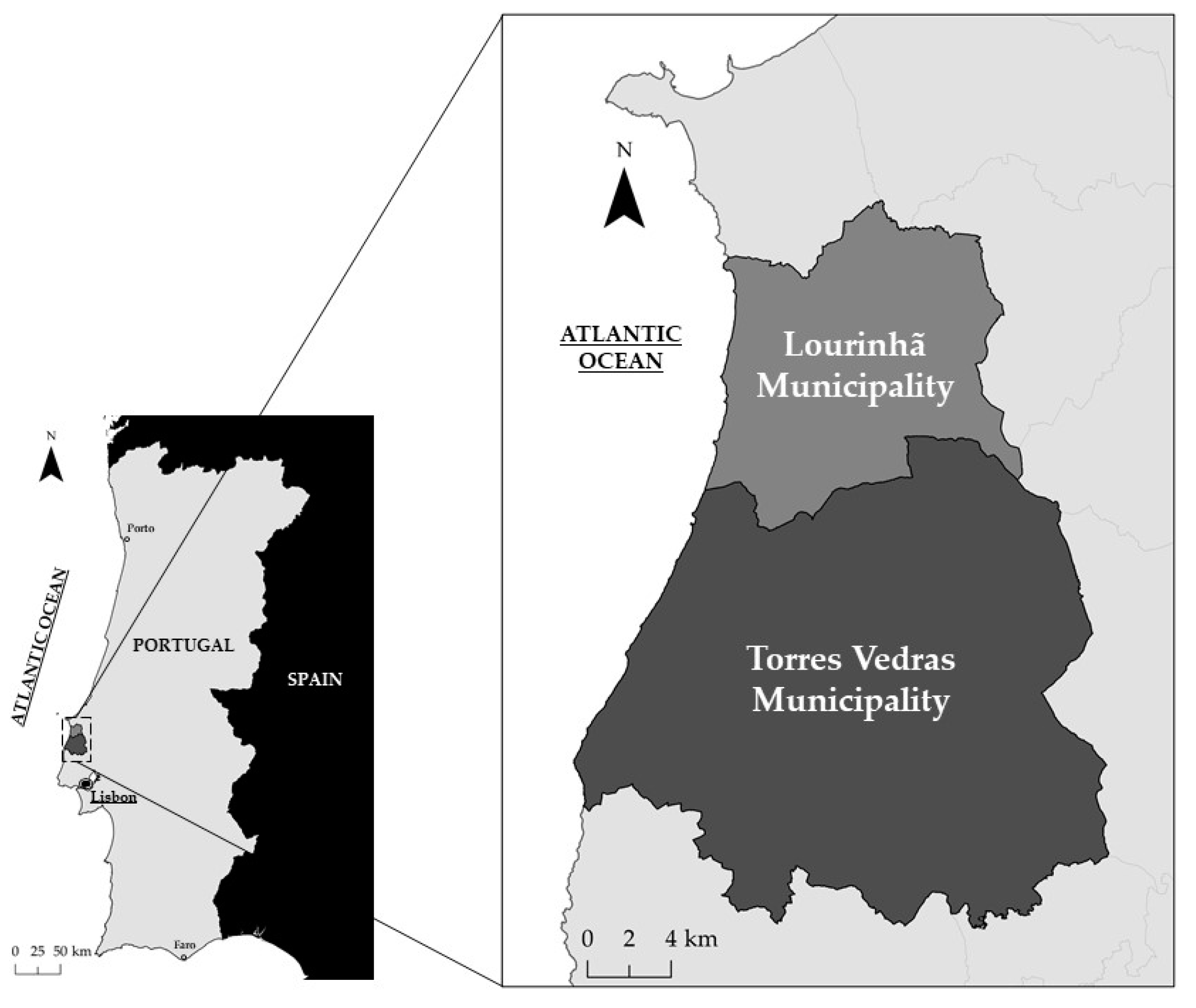 Education 11 00062 g002