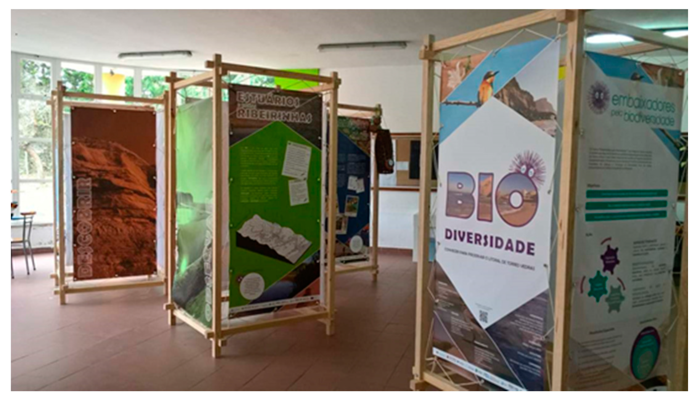 Education 11 00062 g0a1