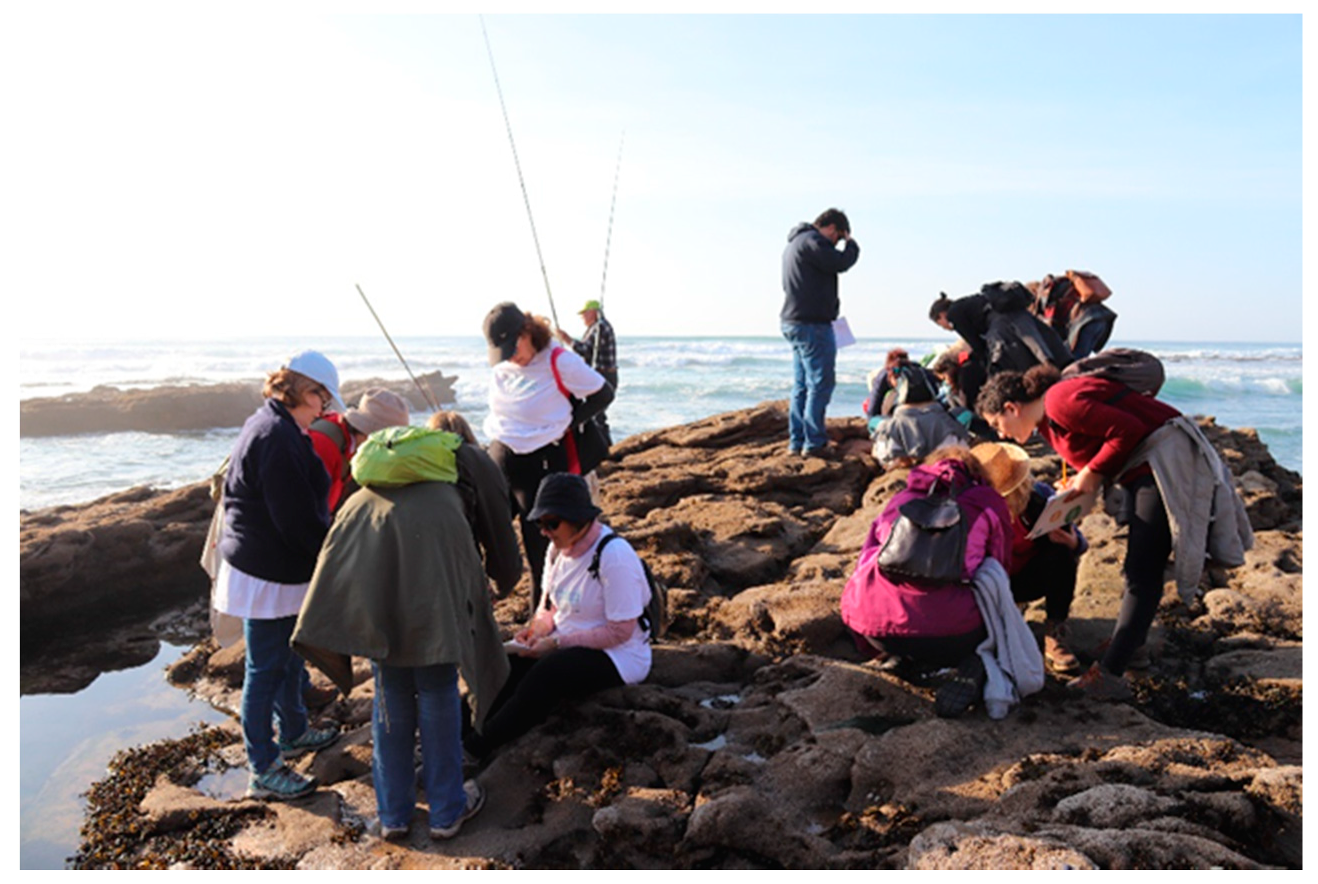 Education 11 00062 g0a5