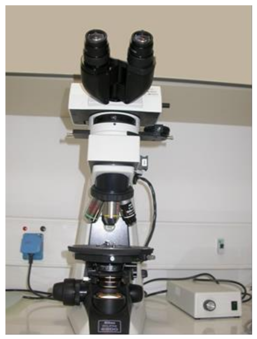 Education 11 00086 g001