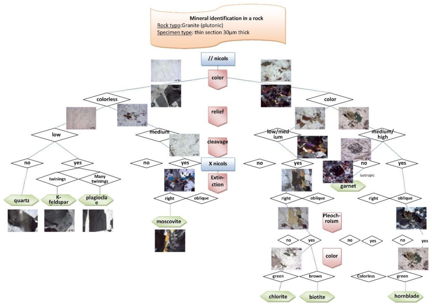 Education 11 00086 g007