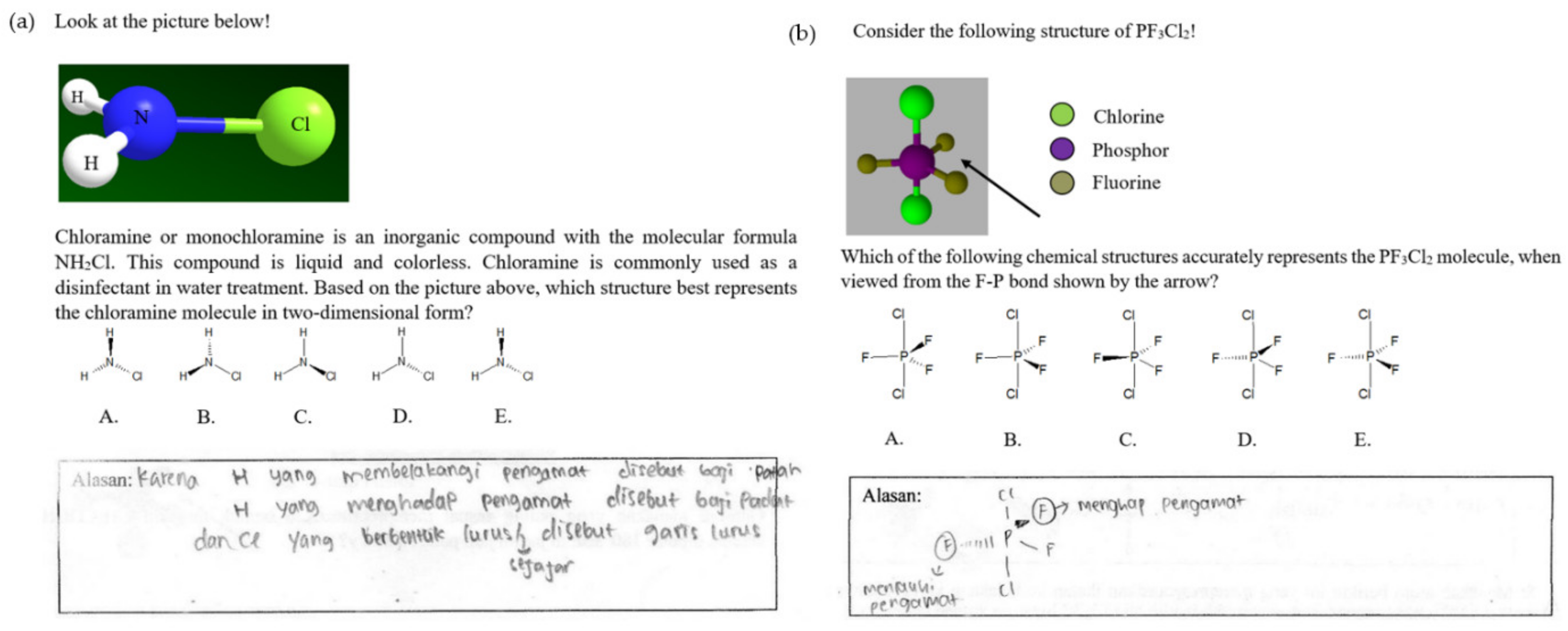 What kind of molecule is represented in the diagram