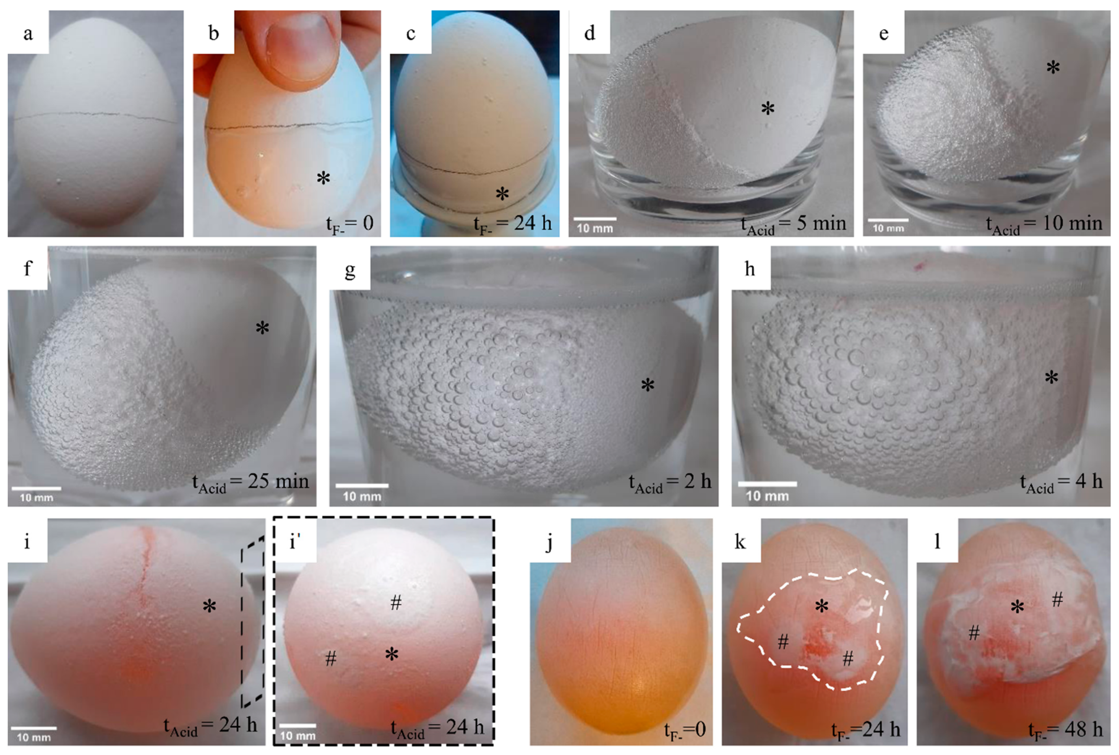 Education 11 00190 g003