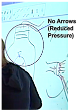 Education 11 00246 i001 Education 11 00246 i001