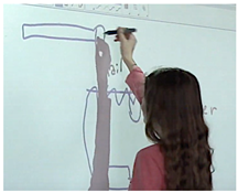 Education 11 00246 i008 Education 11 00246 i008