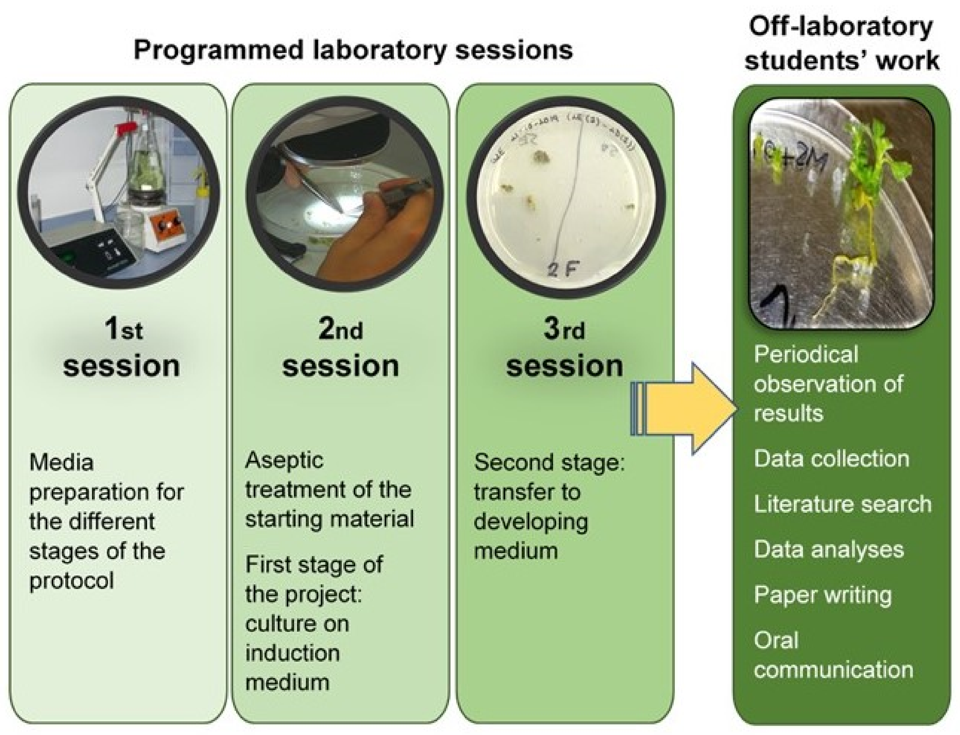 Education 11 00335 g002