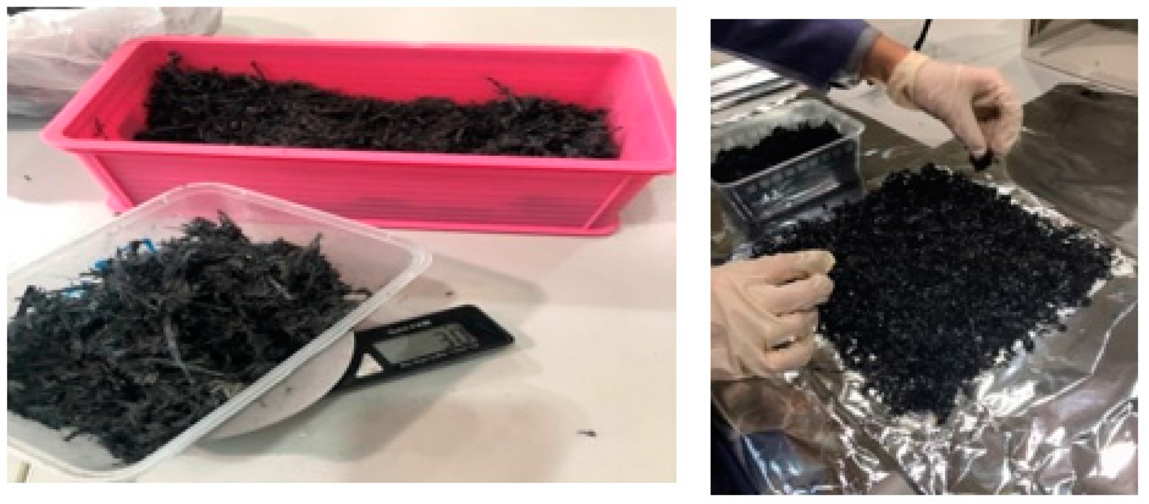 Education 11 00354 g001 550