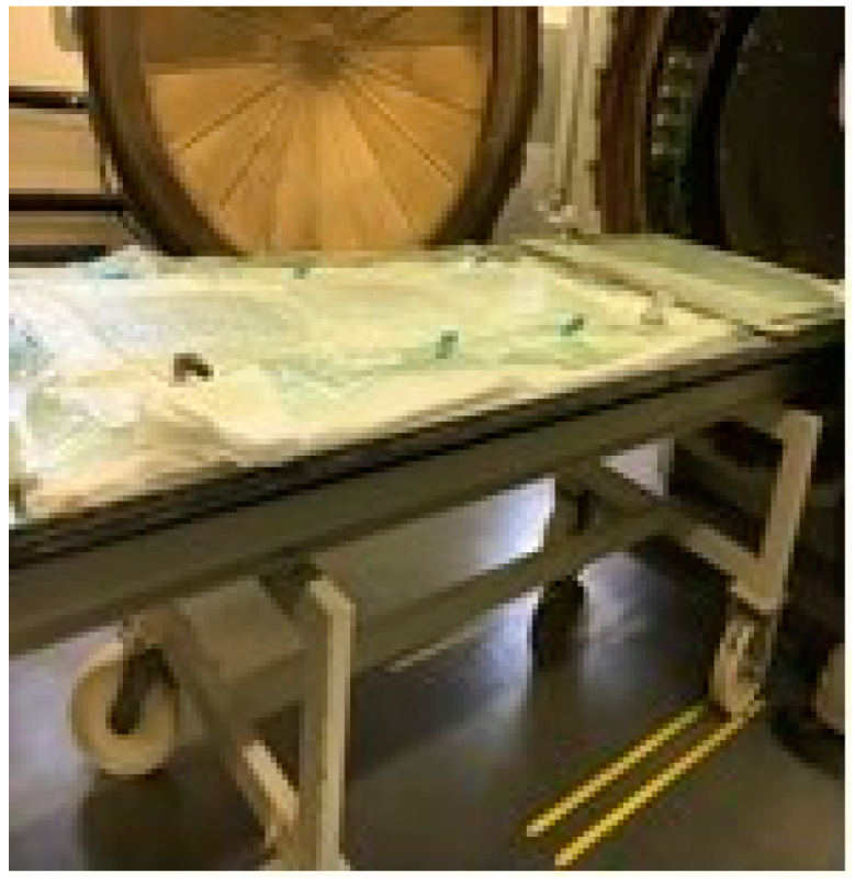 Education 11 00354 g002 550