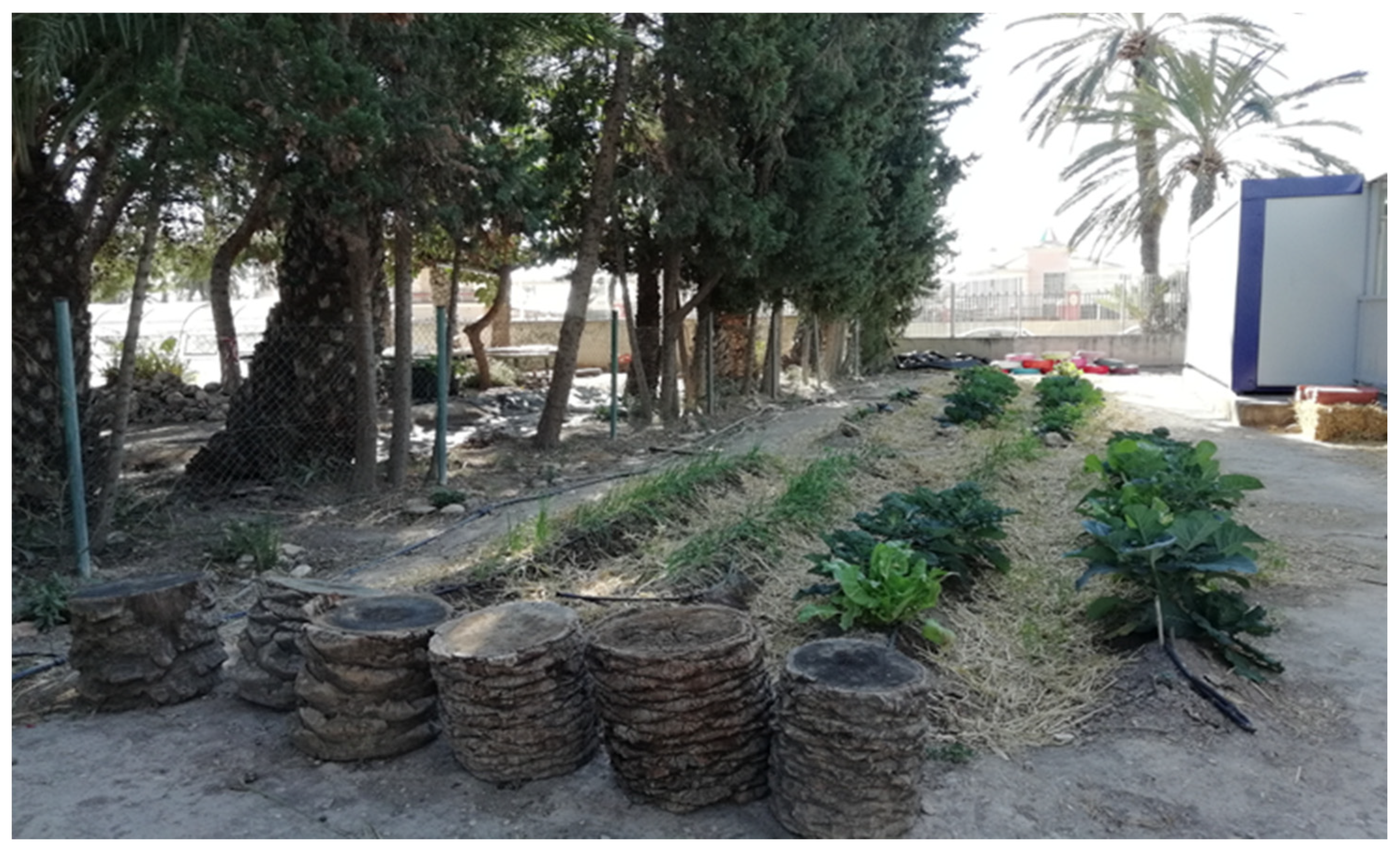 Education 11 00418 g007 Education 11 00418 g007