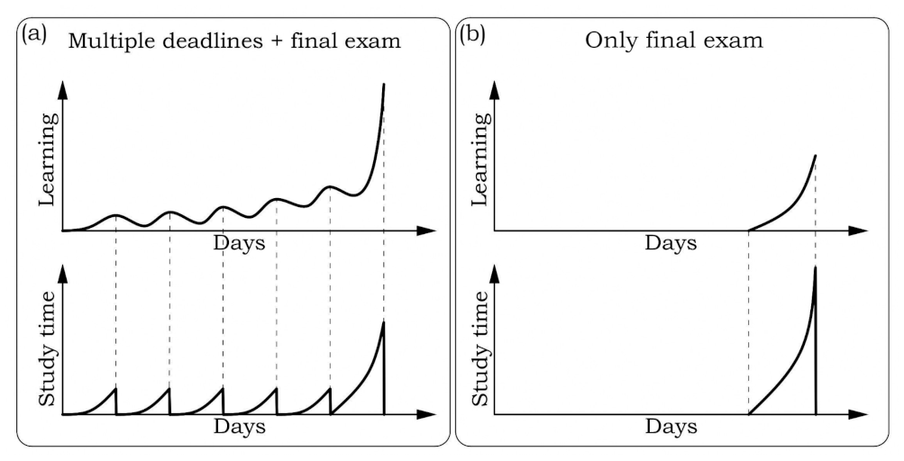 Education 11 00428 g003