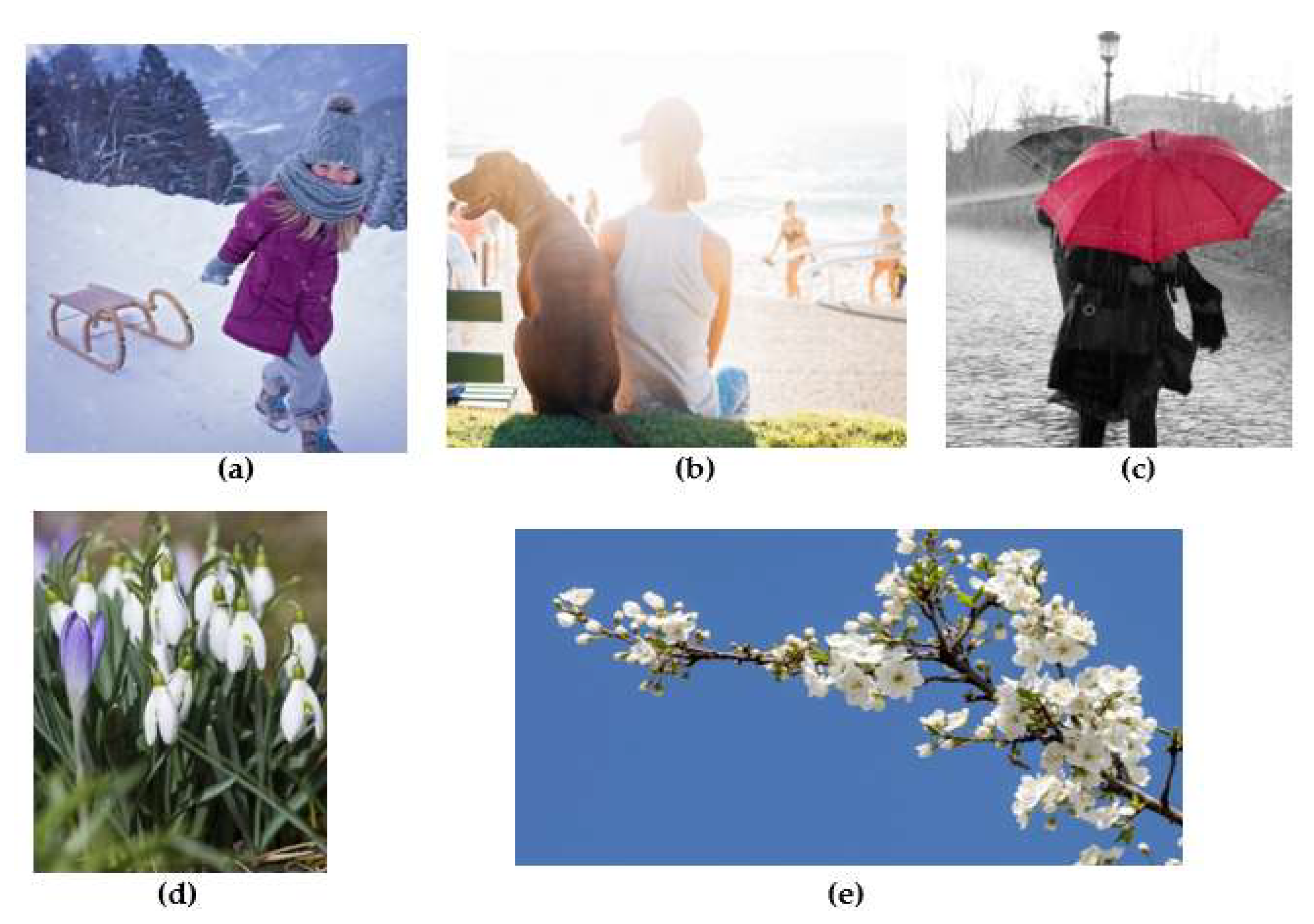 Education 11 00506 g009