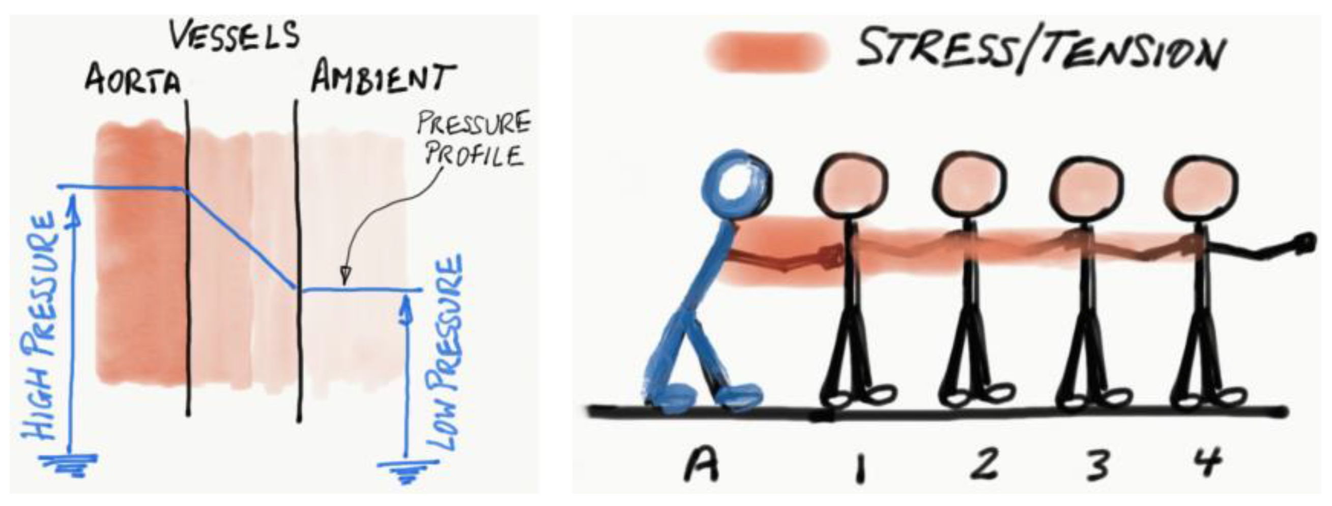 Education 11 00759 g007