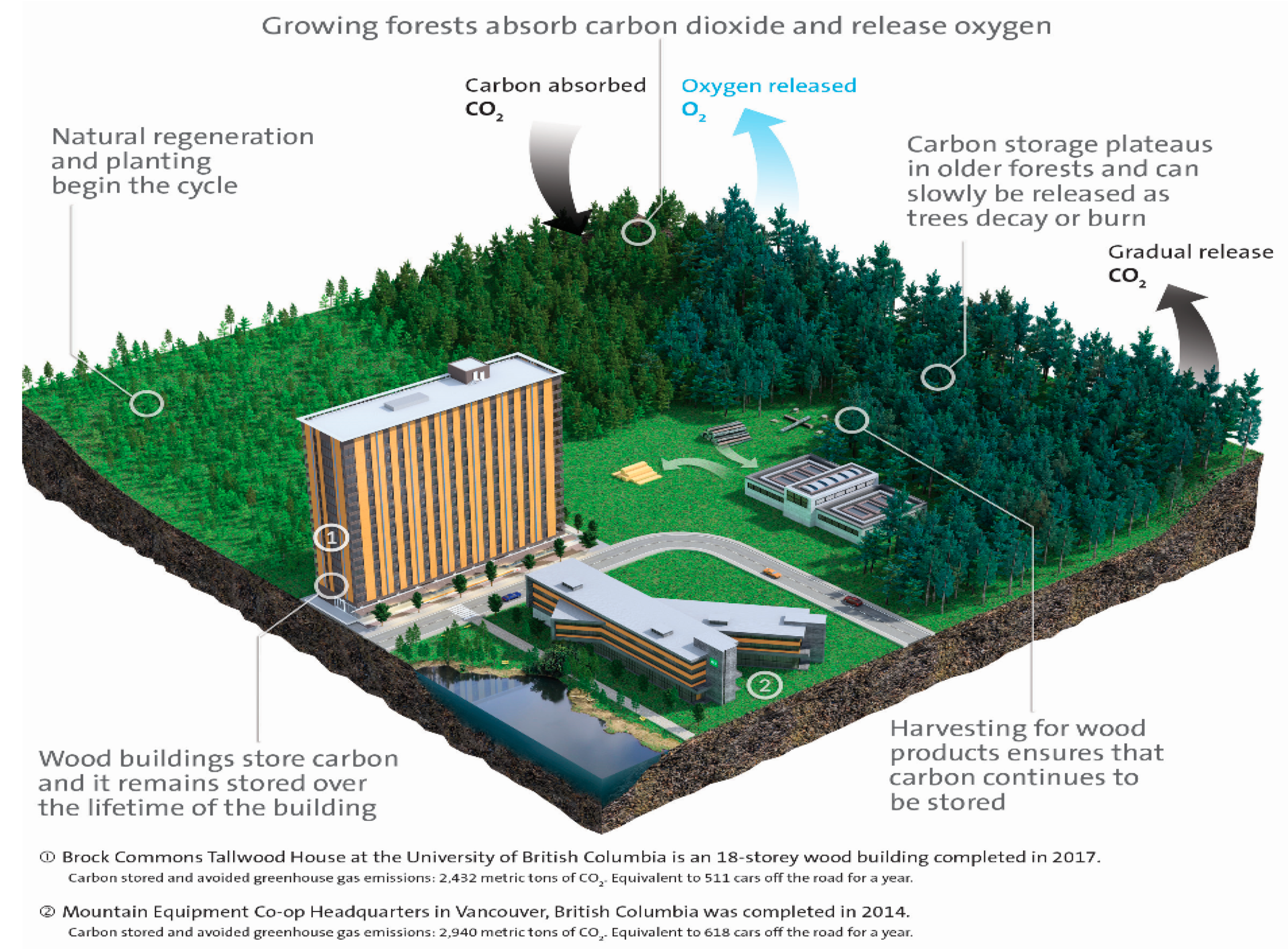 Education 11 00765 g002 550