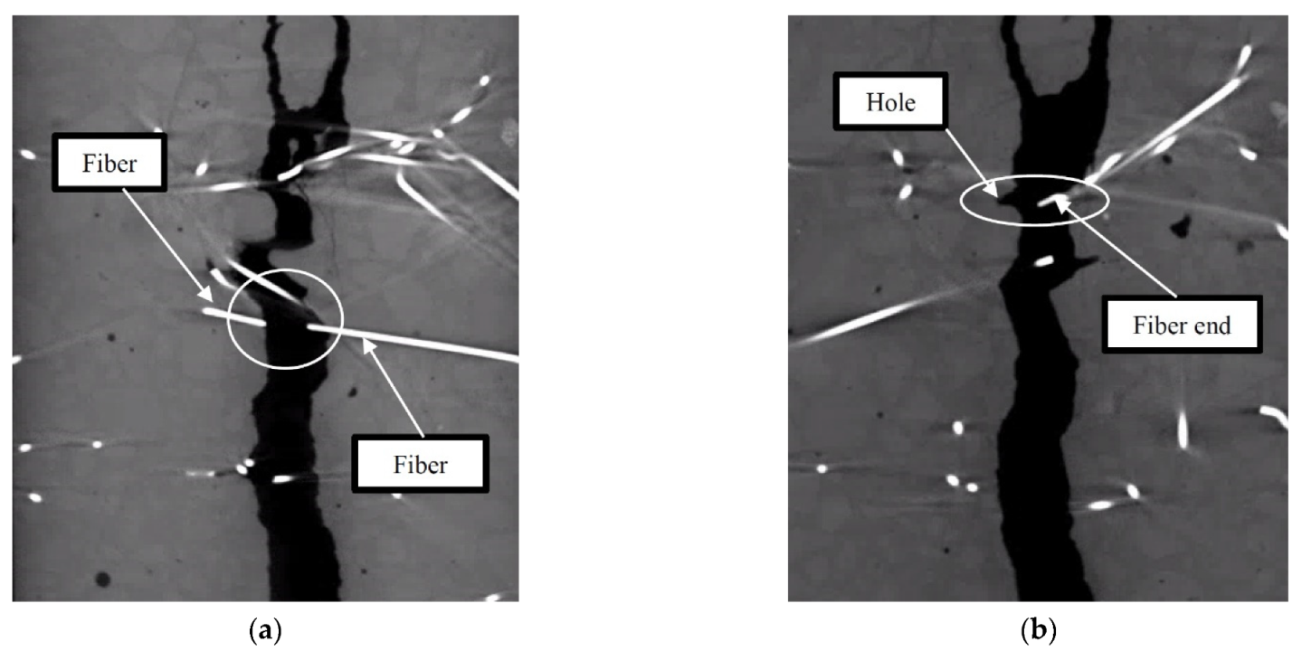 Education 11 00768 g012 Education 11 00768 g012