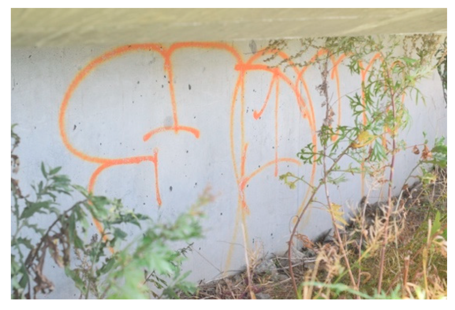 Education 11 00778 g002 550