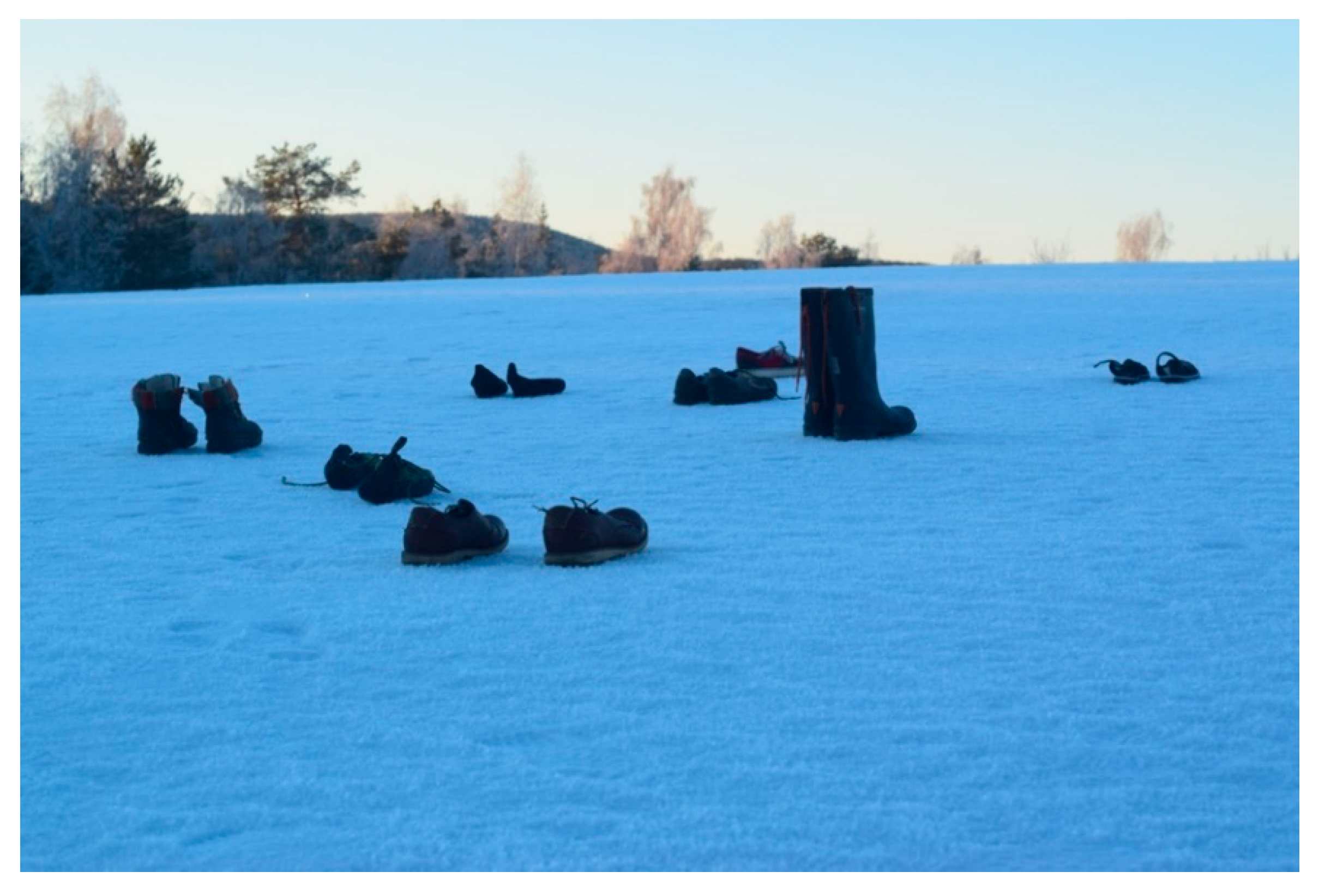 Education 11 00778 g006 550